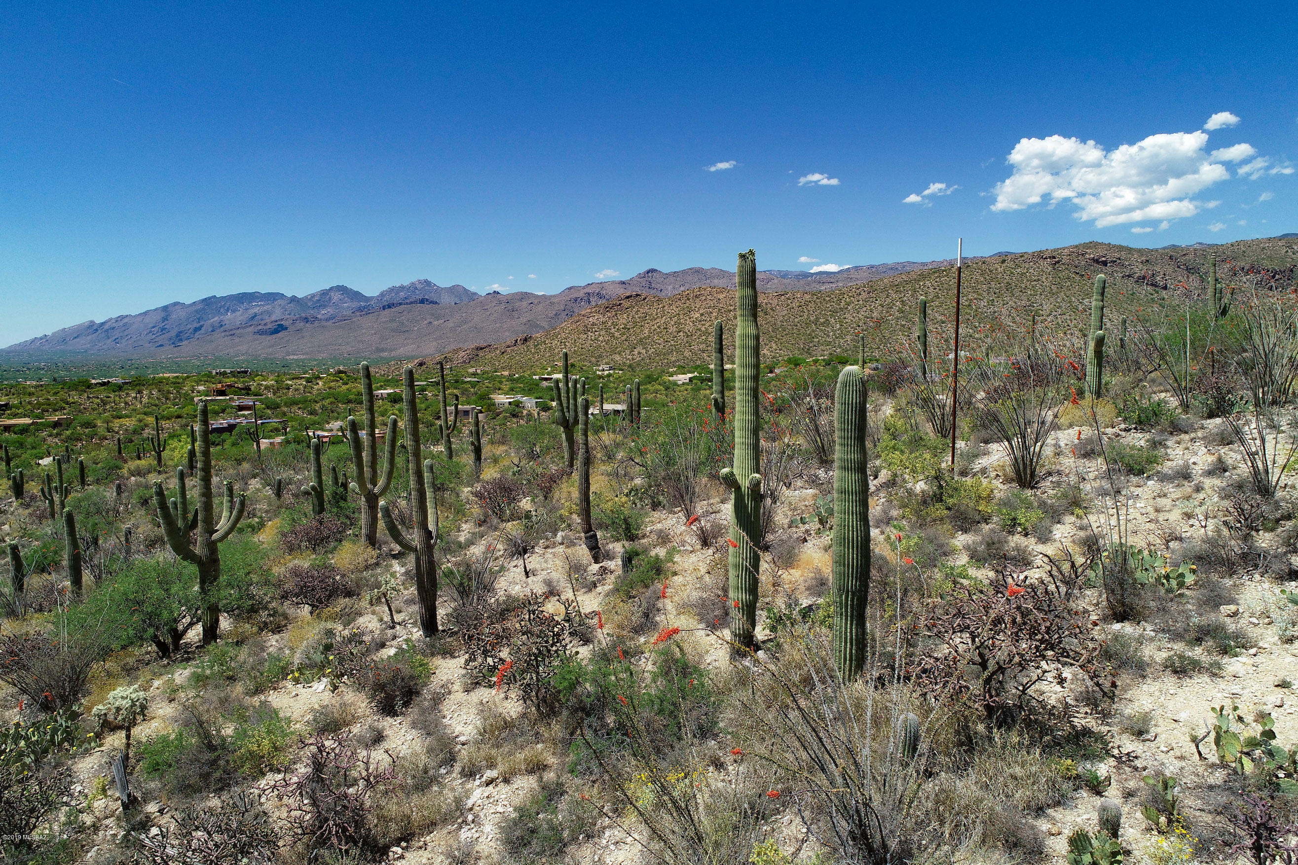 Rinconado Estates (1-13) - Land
