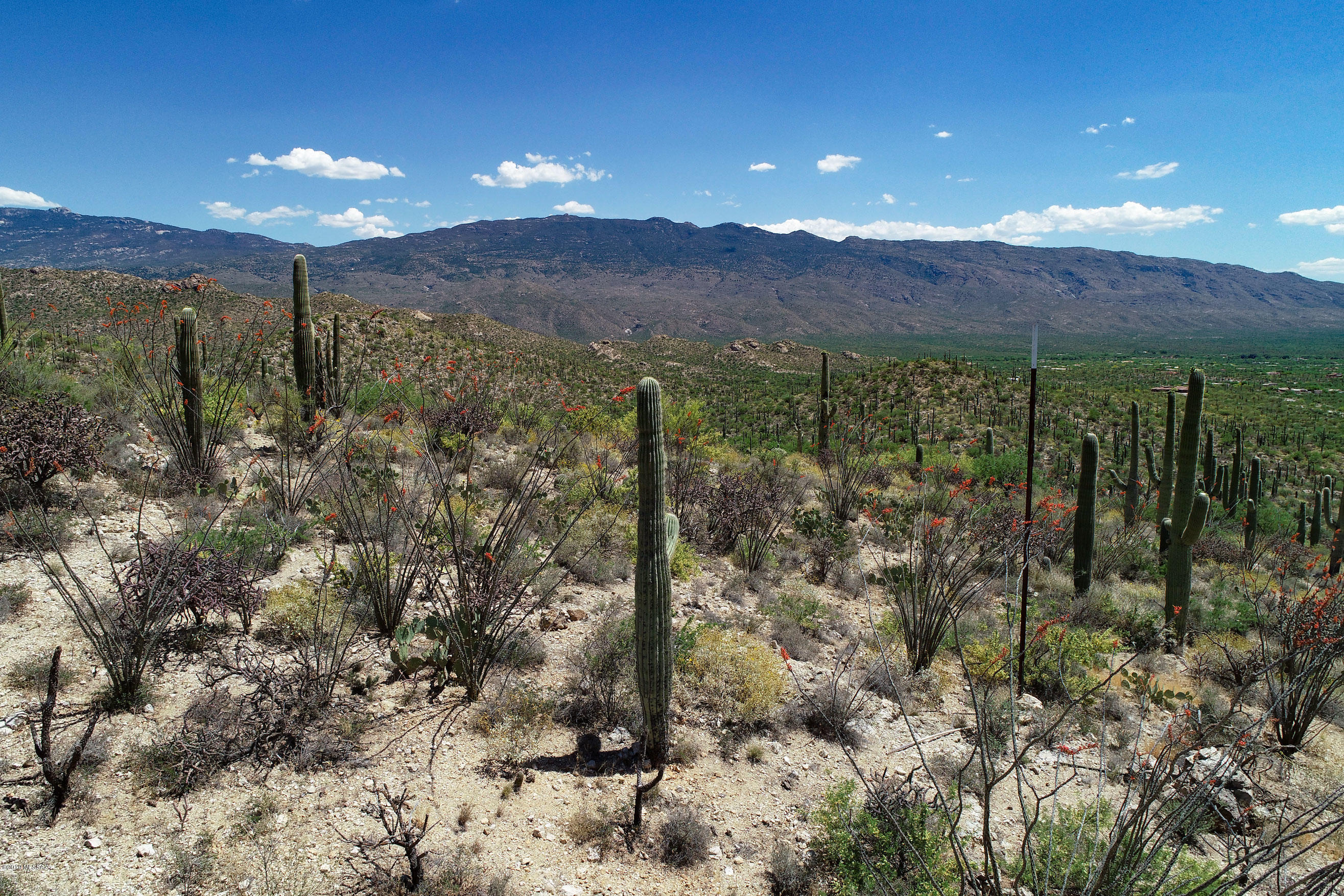 Rinconado Estates (1-13) - Land