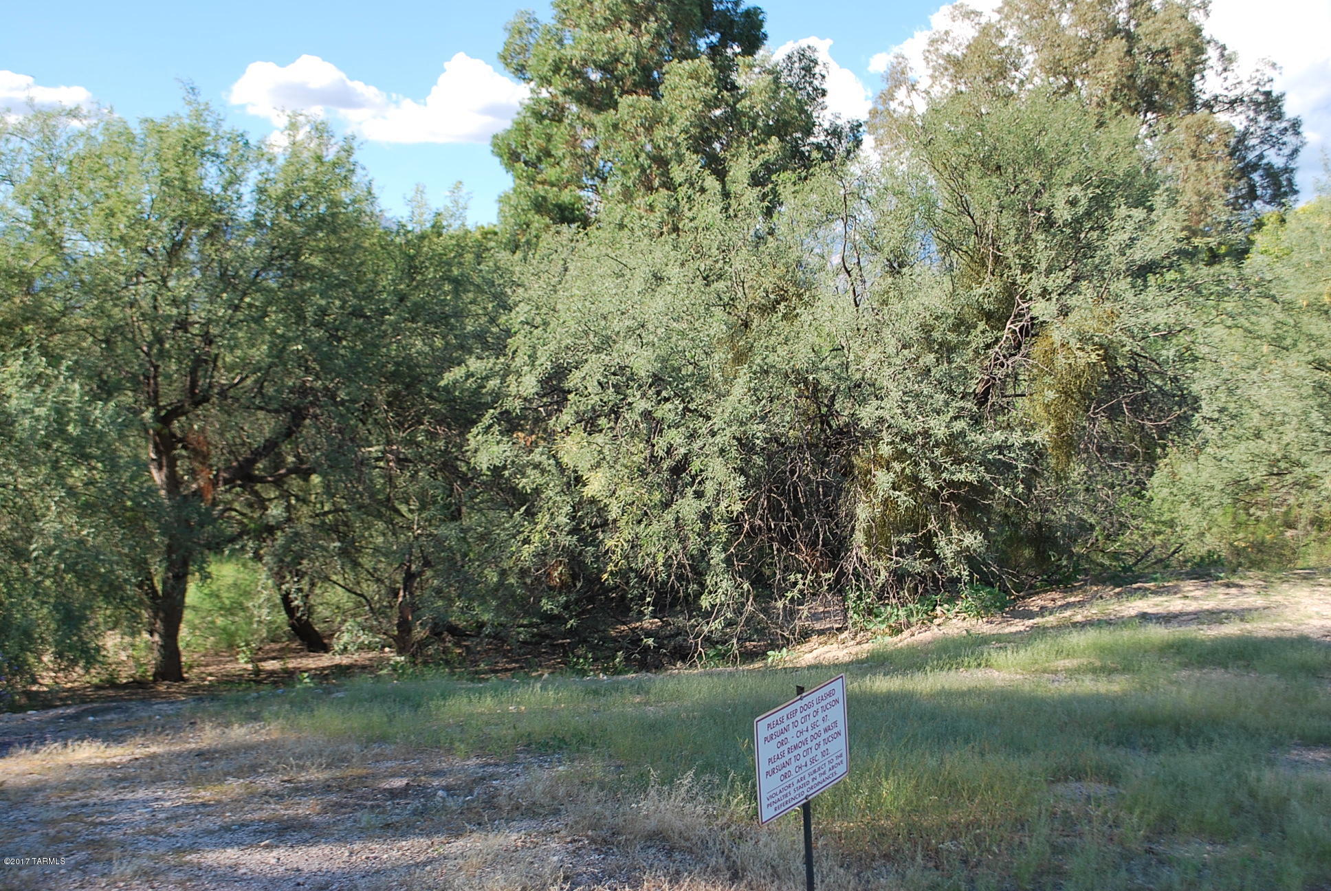 Forest Grove (1 -20) - Land