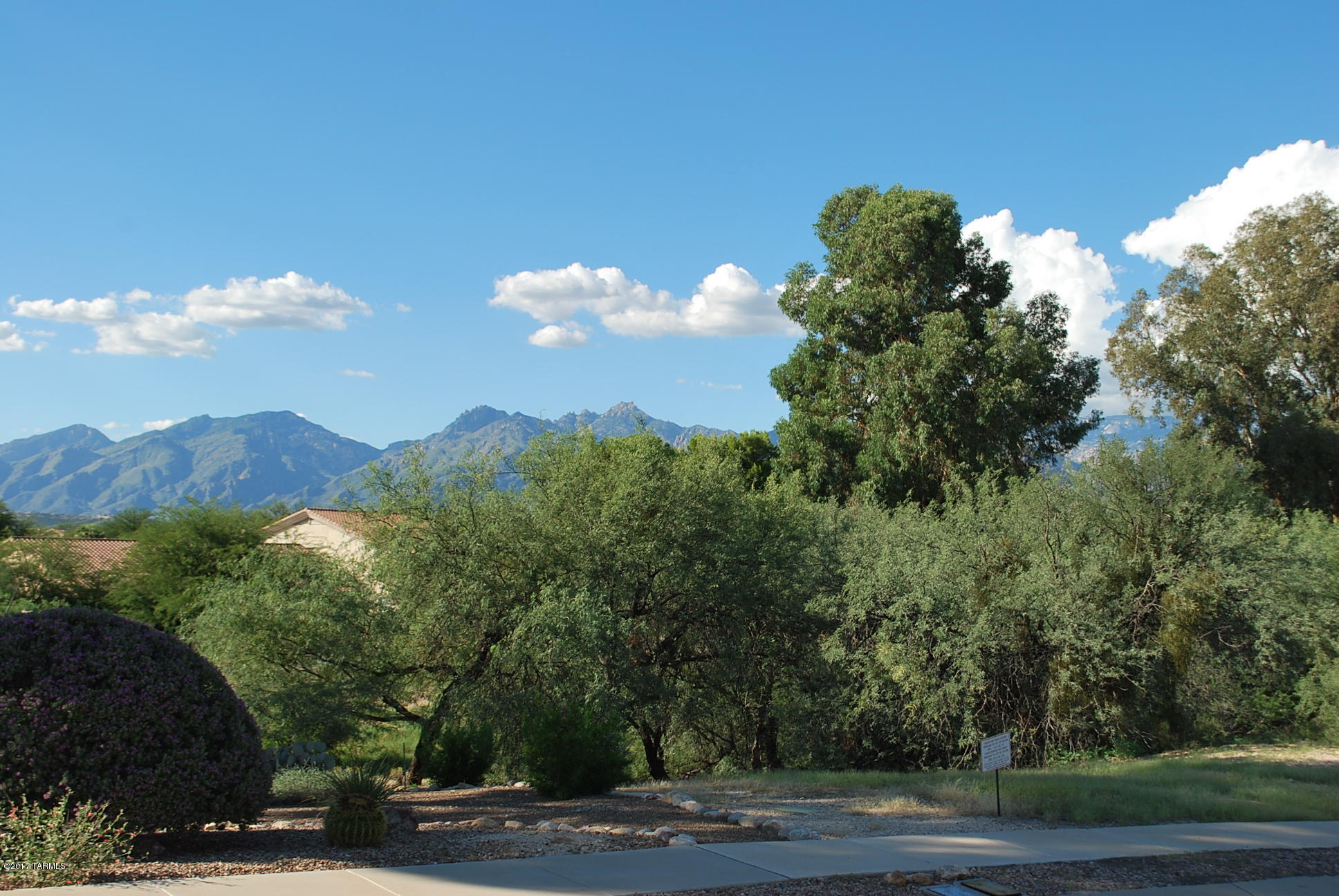 Beautiful lot nestled in Forest Grove, a community committed to the conservation of natural vegetation. All utilities to lot line. all surrounding lots are built out. This is a rare find. Building guidelines available with listing agent.
A complete set of City of Tucson approved building plans is available with the purchase of this lot. Call listing agent for details.