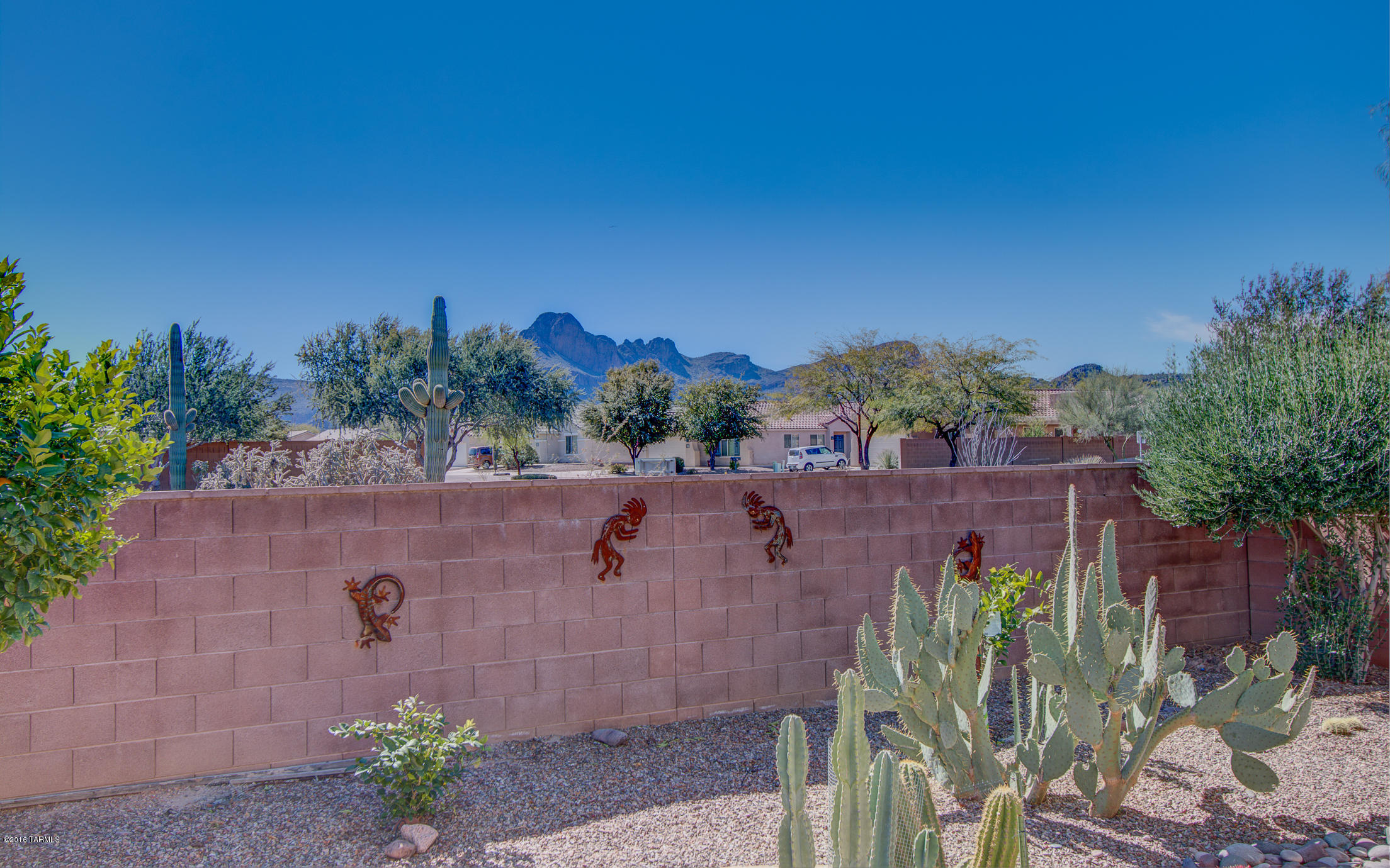 Continental Ranch Sunflower - Residential
