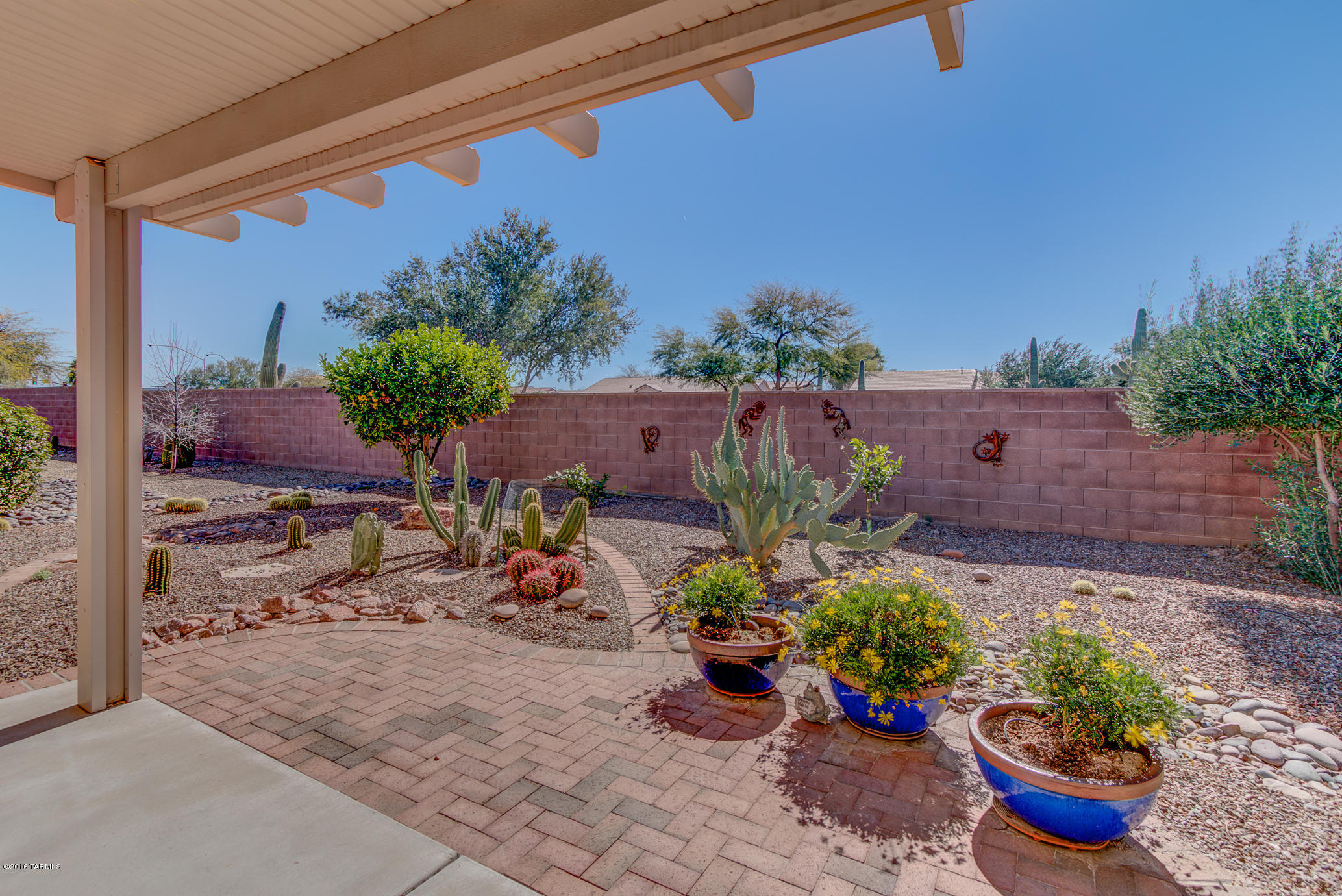 Continental Ranch Sunflower - Residential