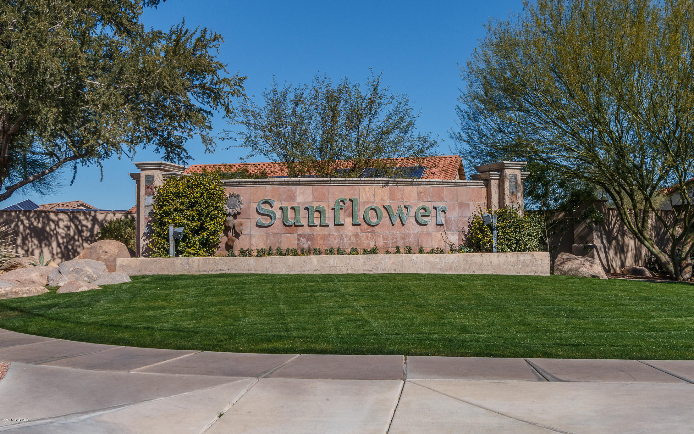 Continental Ranch Sunflower - Residential