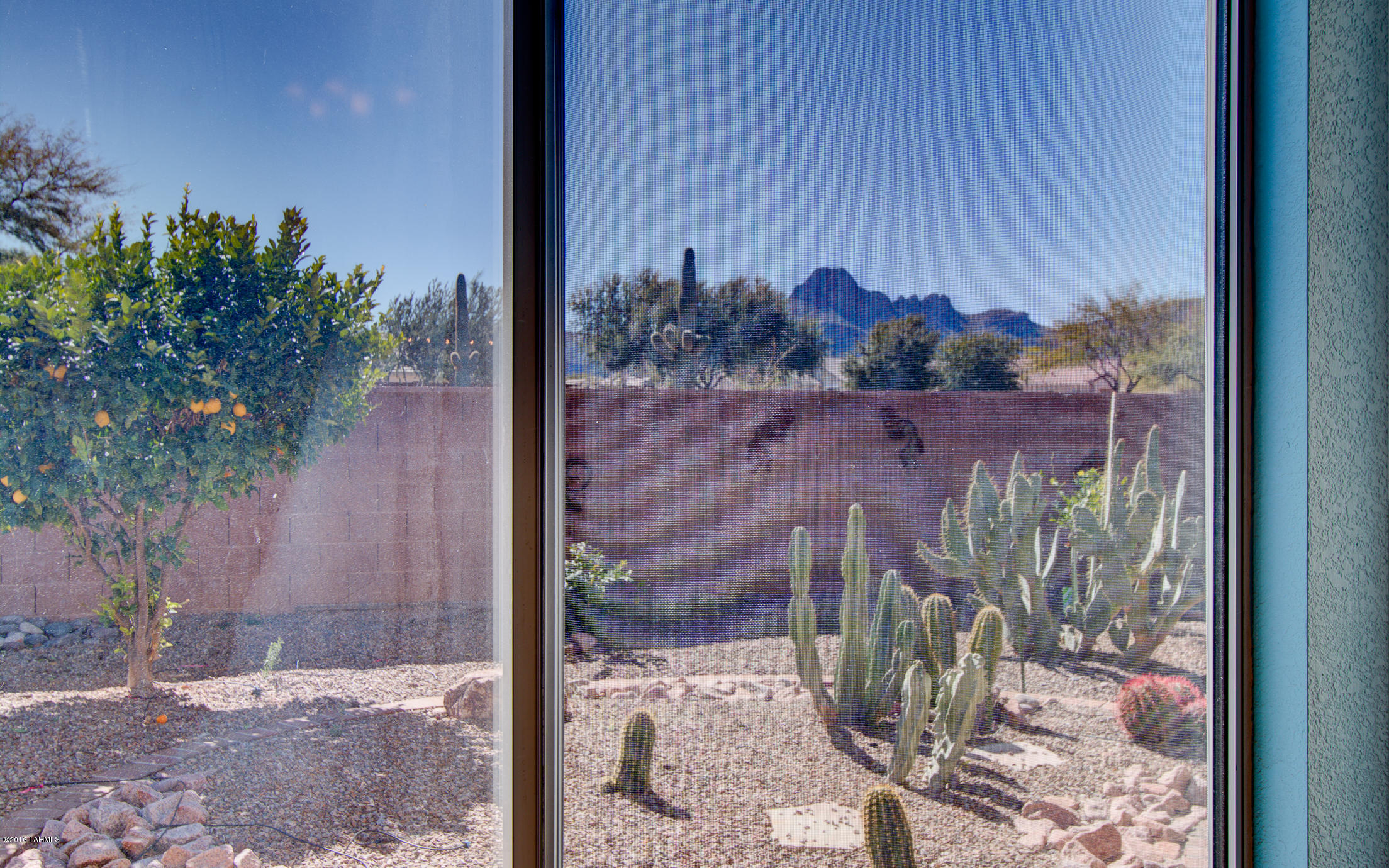 Continental Ranch Sunflower - Residential