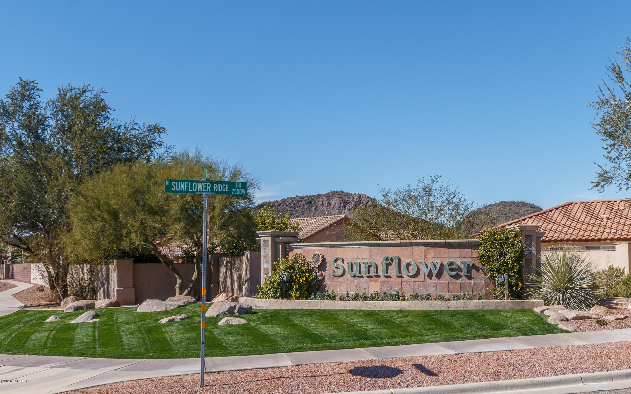 Continental Ranch Sunflower - Residential