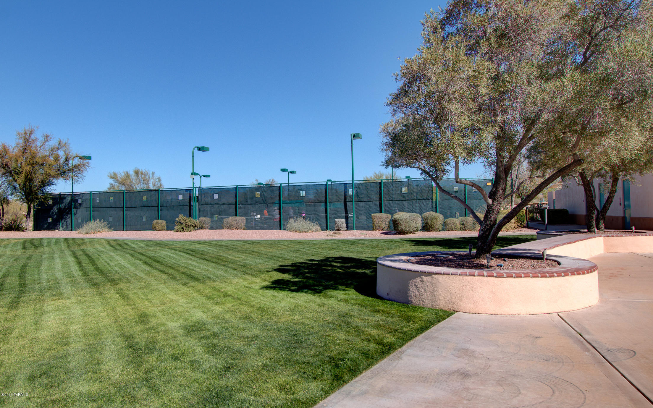 Continental Ranch Sunflower - Residential