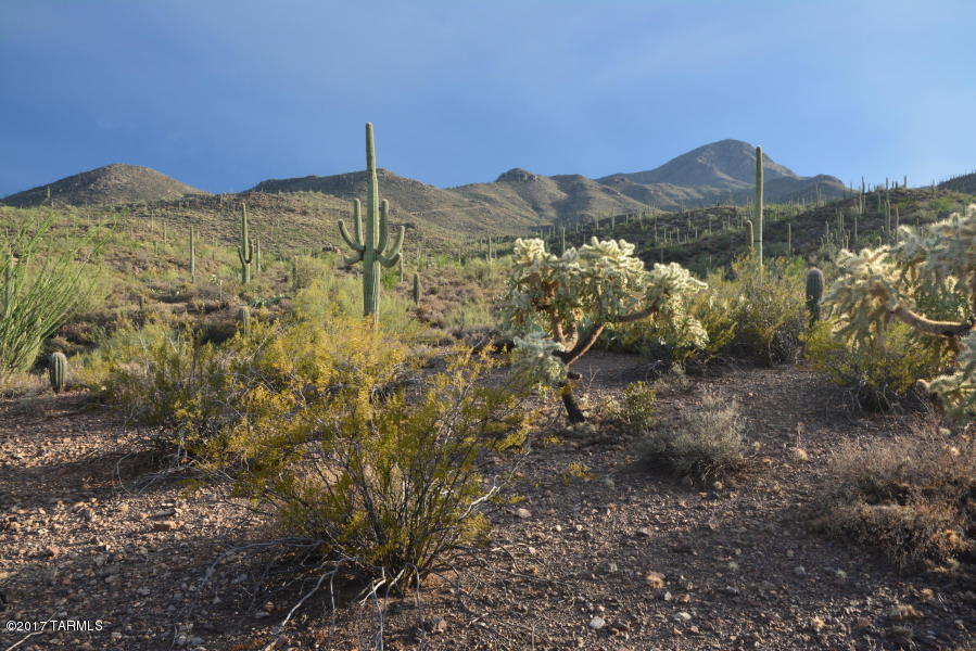 ALL ABOUT THE WATER and The parcel abuts Saguaro National Monument. Totally pristine land that is untouched.  One-third well share THAT WAS RECENTLY TESTED AND FULLY OPERATIONAL!  Water hit at 360 feet goes over 750 feet. The views exhilarate and cacti are prolific. Buried Power is on the road. There are several building sites. The neighboring 3.3 acre is for sale by the same owner. No HOA rather a $150 annual fee for maintaining the freshly paved road.