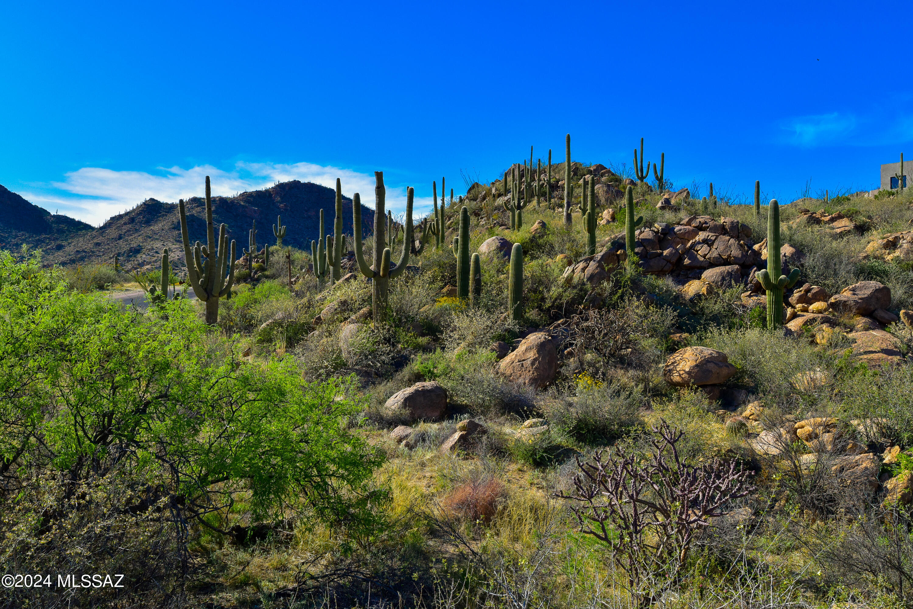 Canyon Pass V At Dove Mountain (280-331) - Land