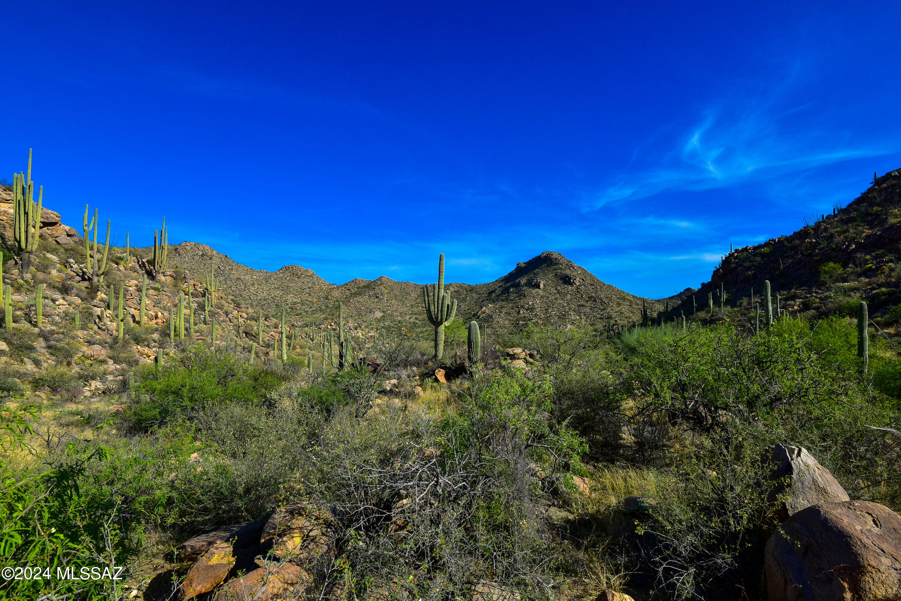 Canyon Pass V At Dove Mountain (280-331) - Land