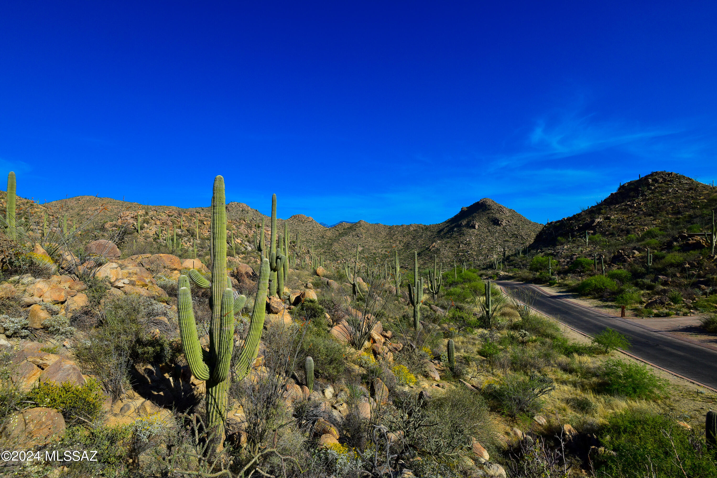 Canyon Pass V At Dove Mountain (280-331) - Land