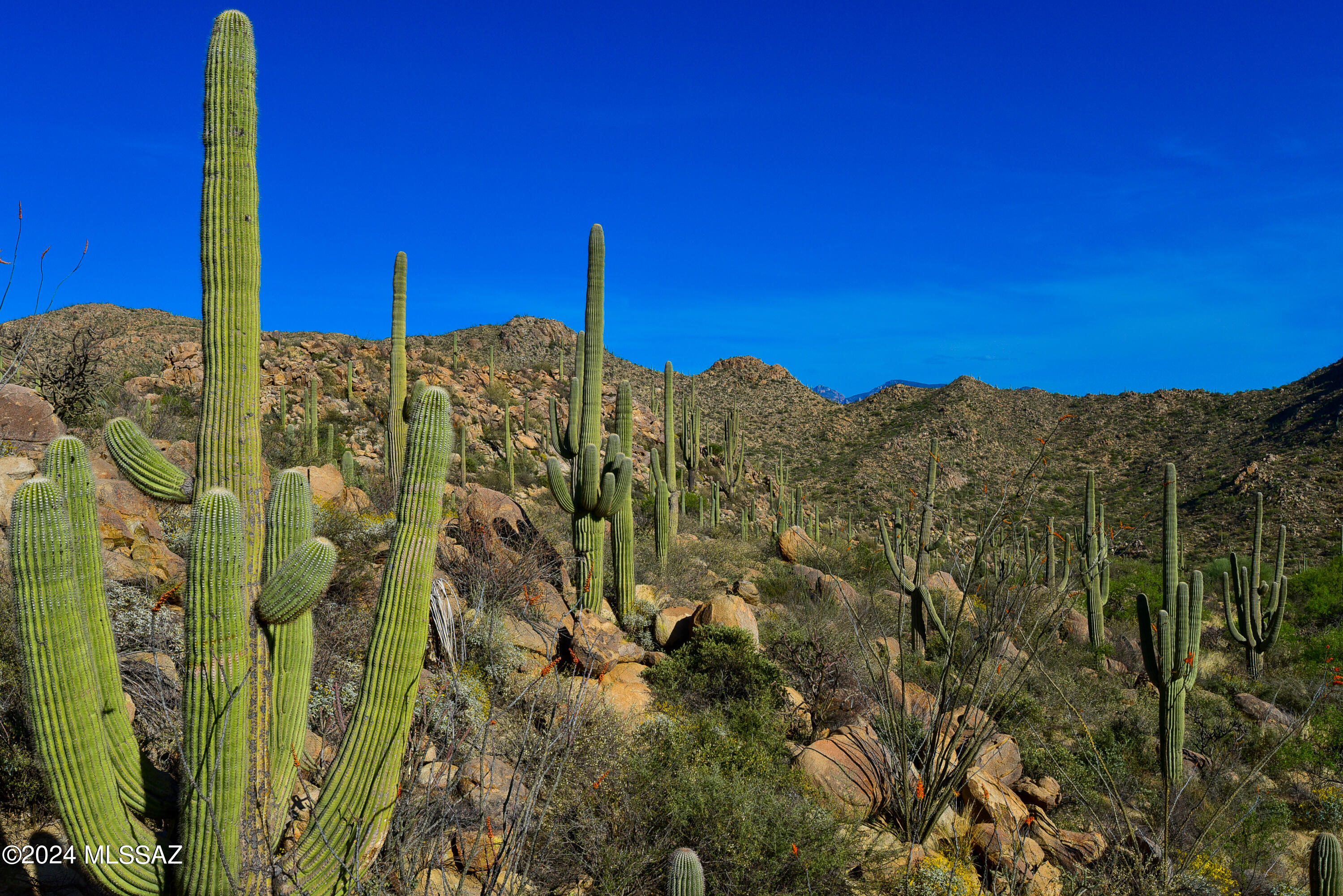 Canyon Pass V At Dove Mountain (280-331) - Land