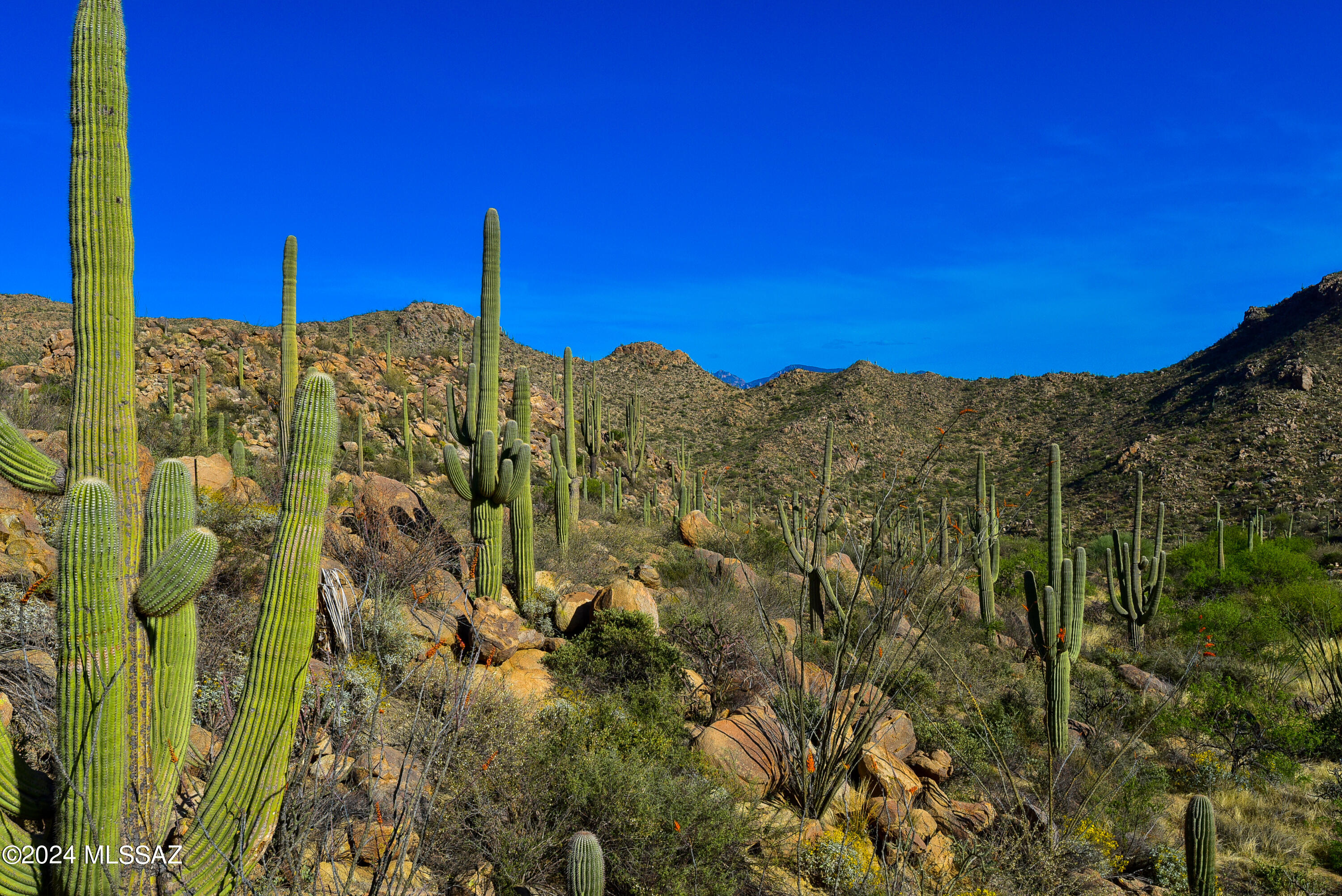 Canyon Pass V At Dove Mountain (280-331) - Land