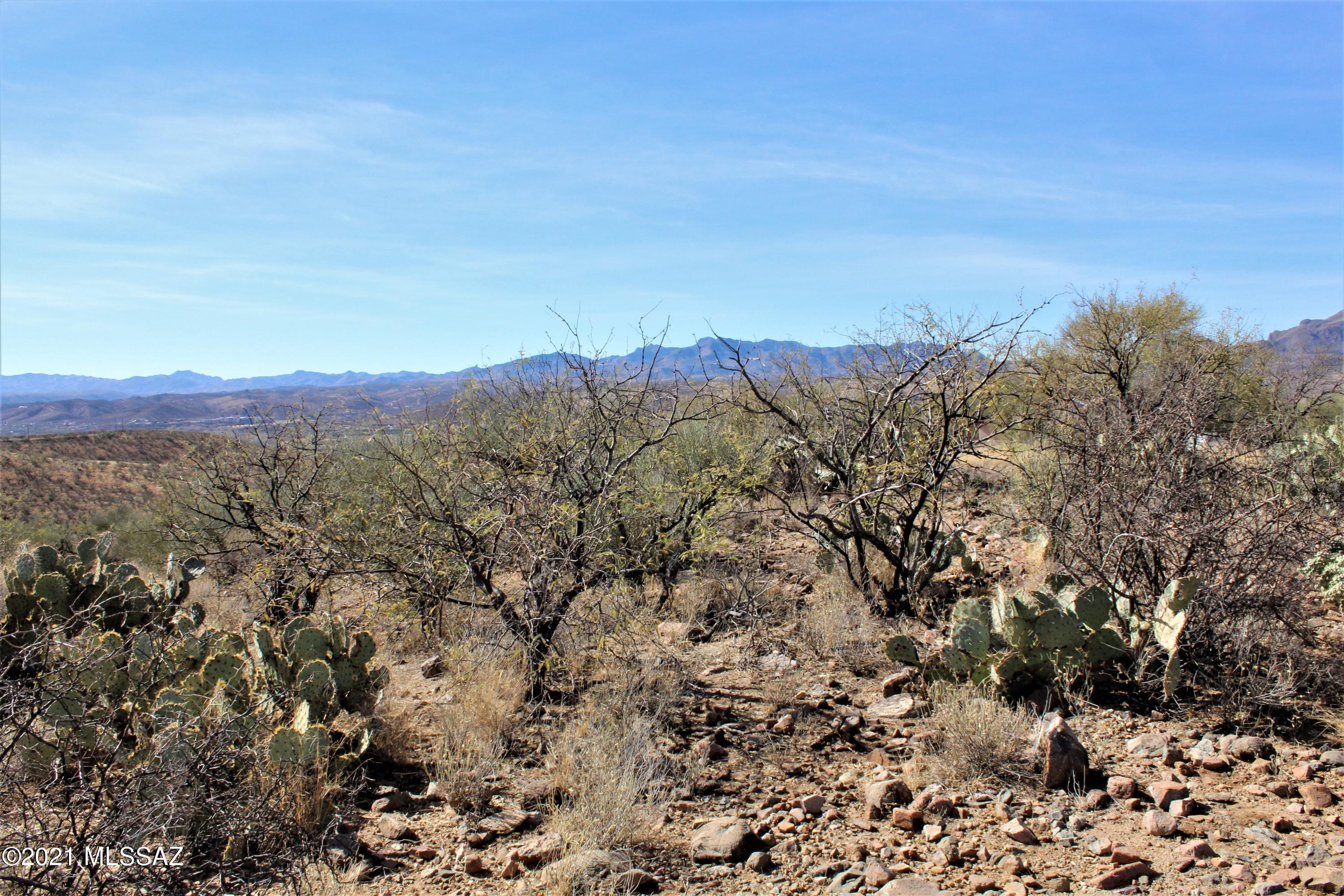Rio Rico Ranchettes 17 - Land
