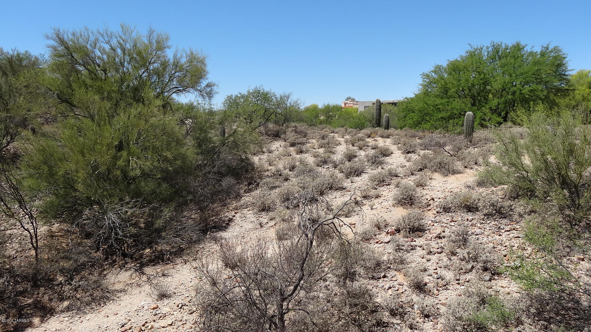 Monte Del Oro (1-187) - Land