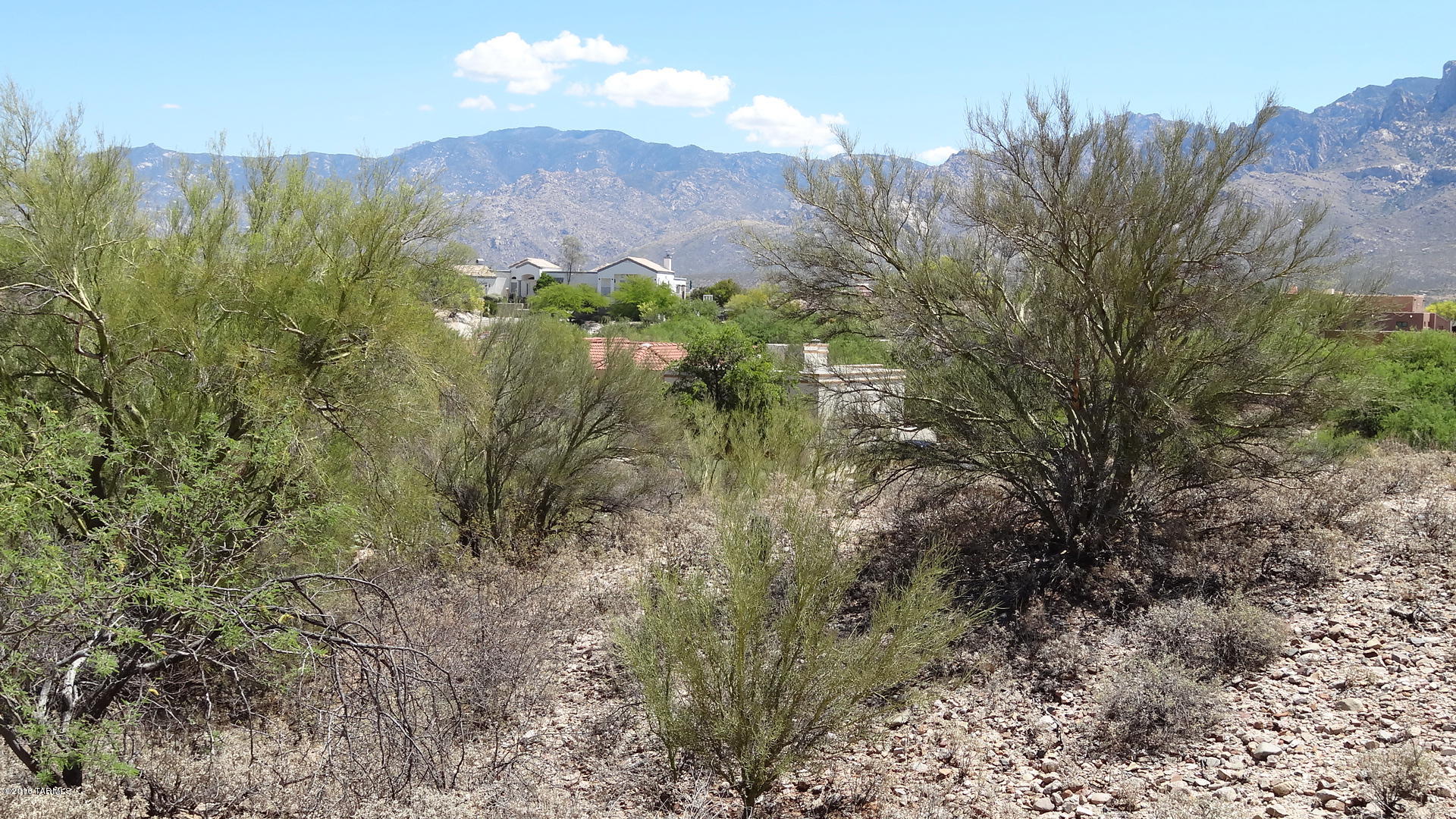 Monte Del Oro (1-187) - Land