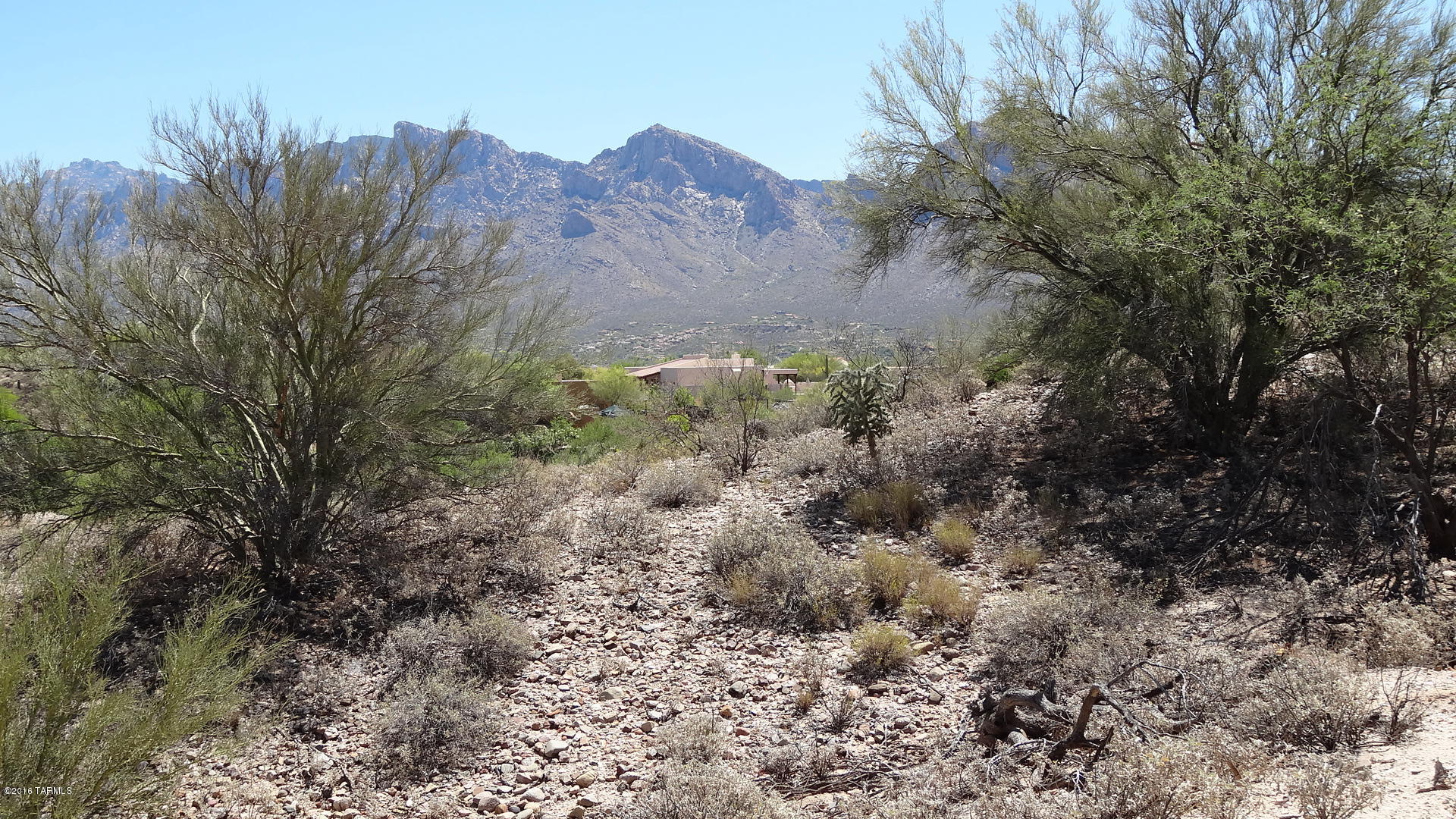 Monte Del Oro (1-187) - Land