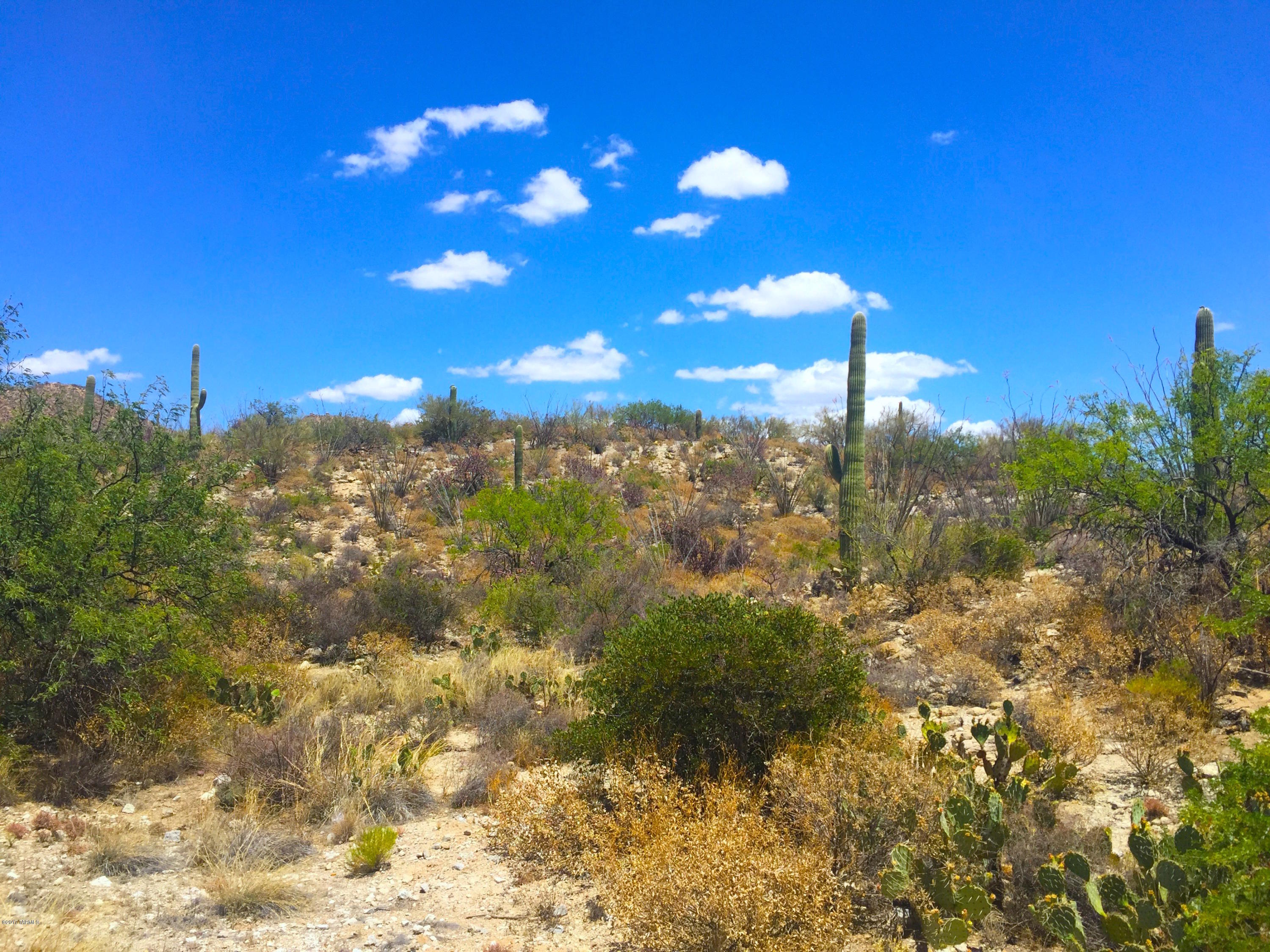 Stone Canyon III - Land
