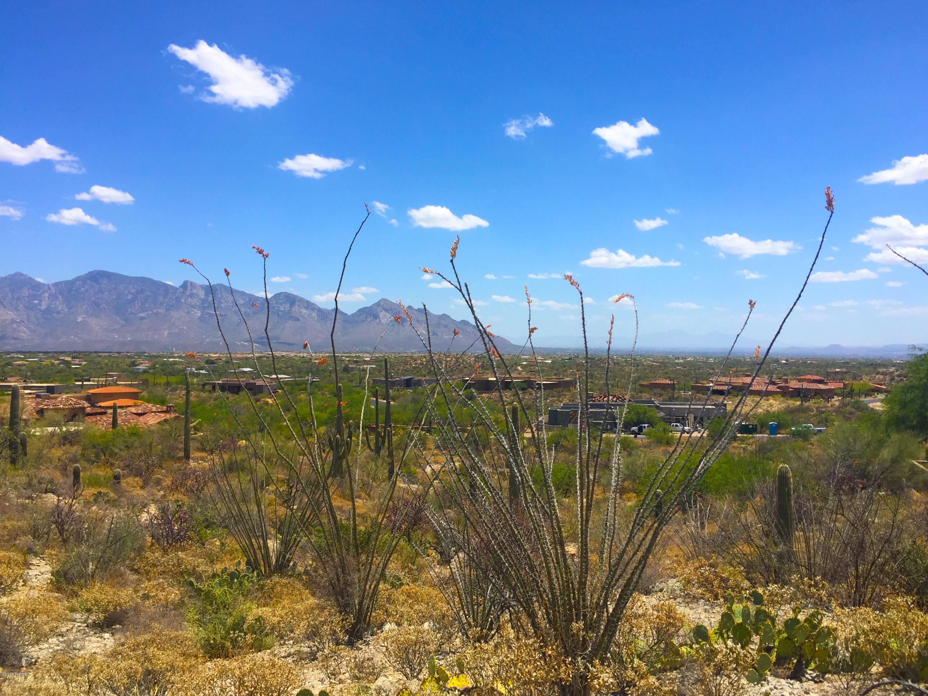 Stone Canyon III - Land