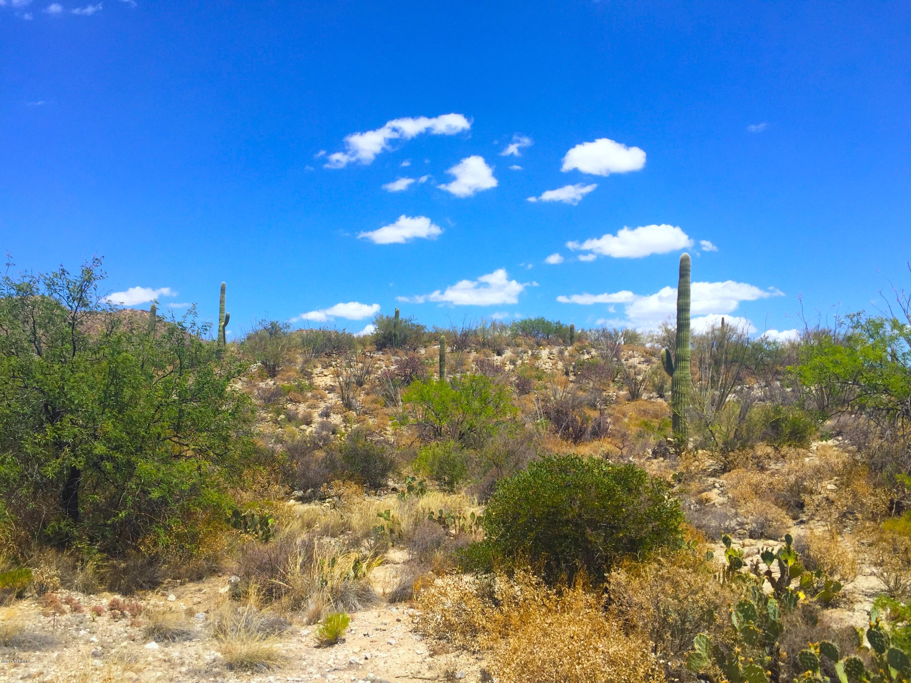 Stone Canyon III - Land