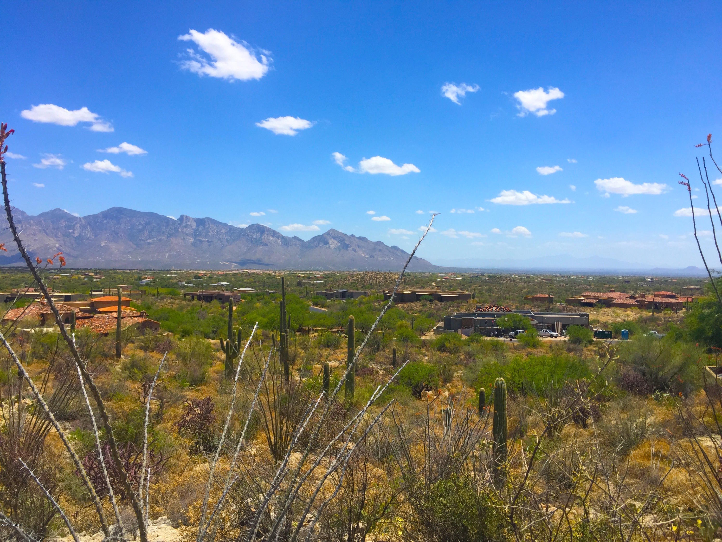 Stone Canyon III - Land