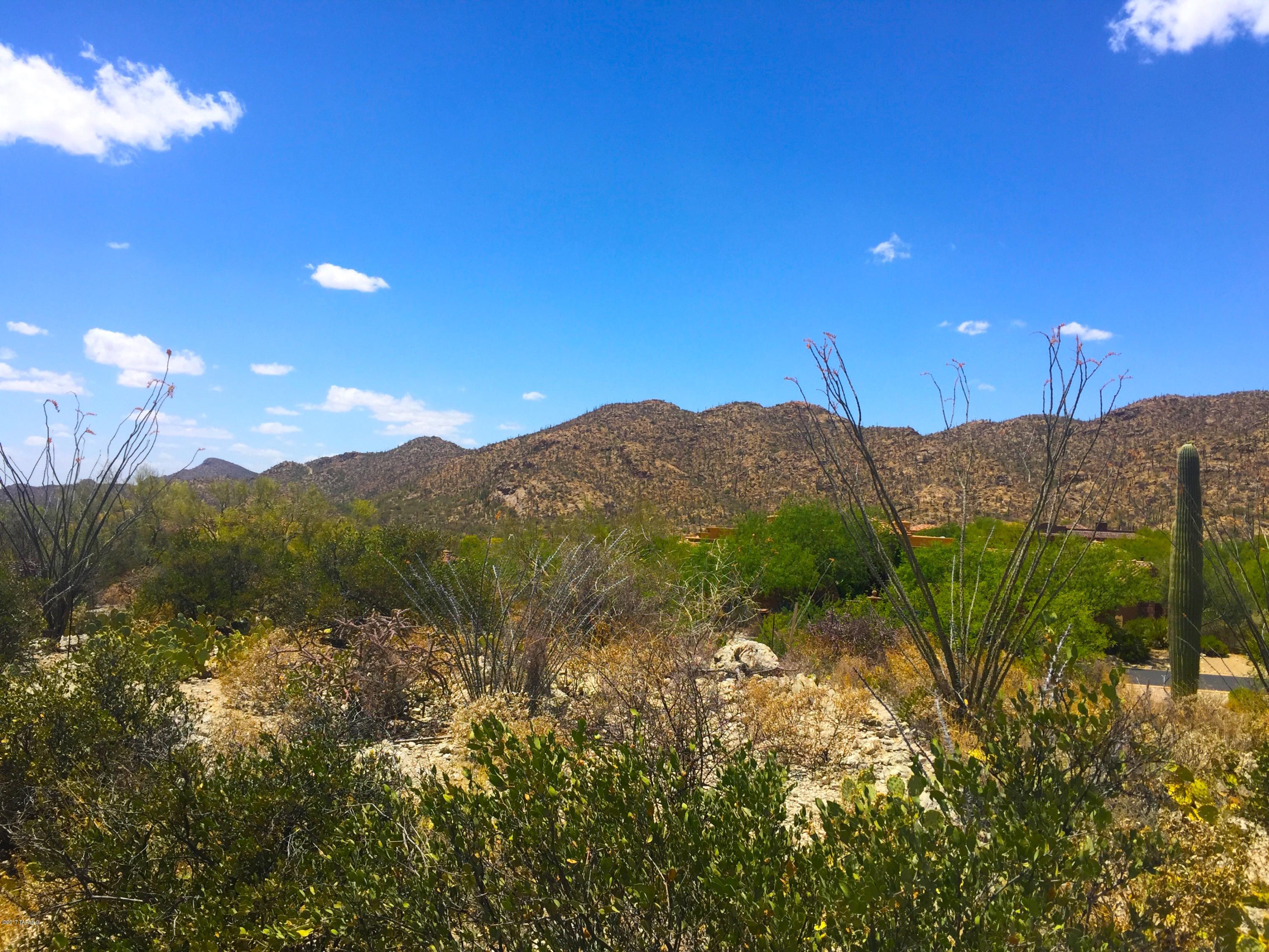 Stone Canyon III - Land