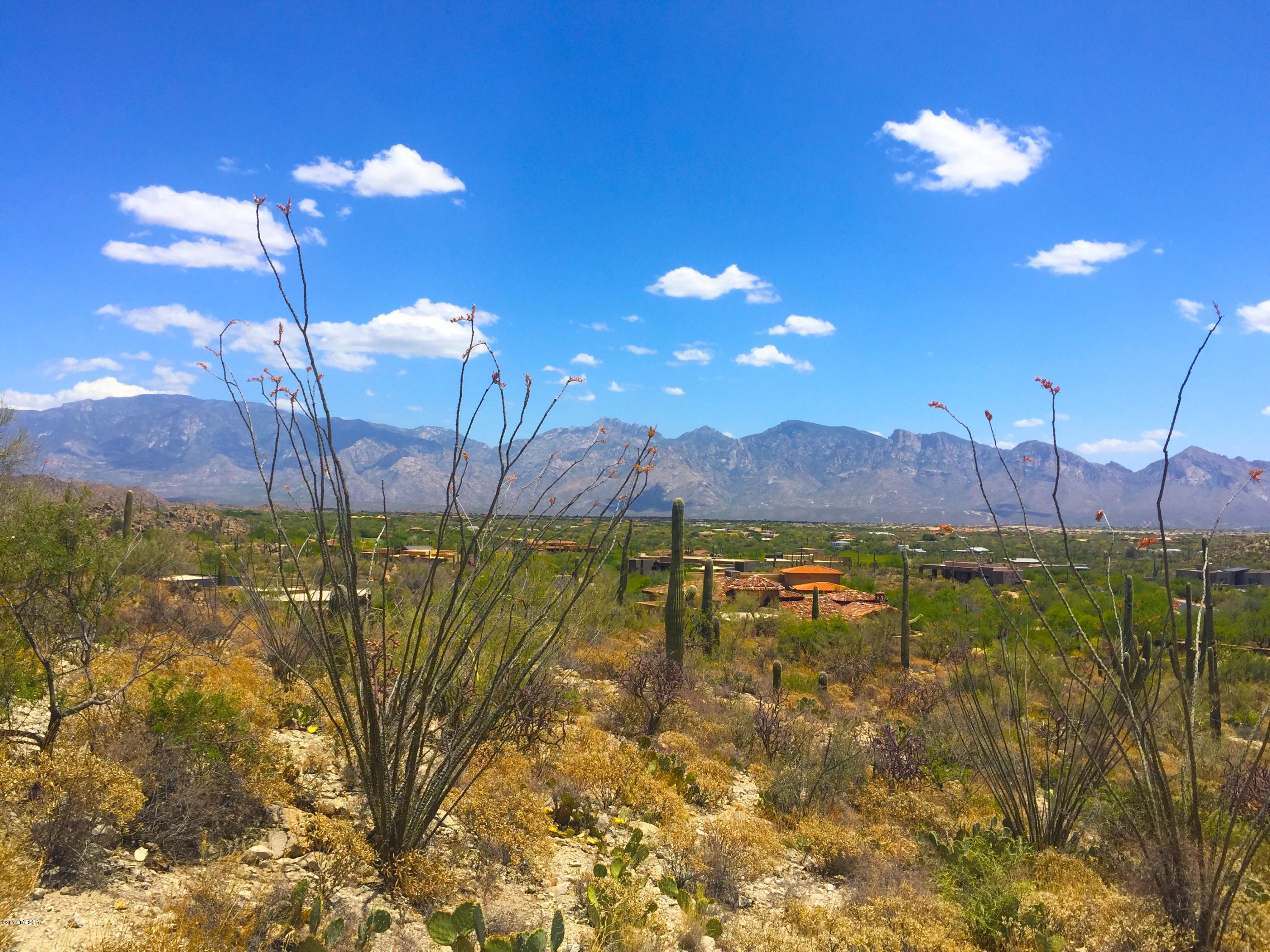 Stone Canyon III - Land