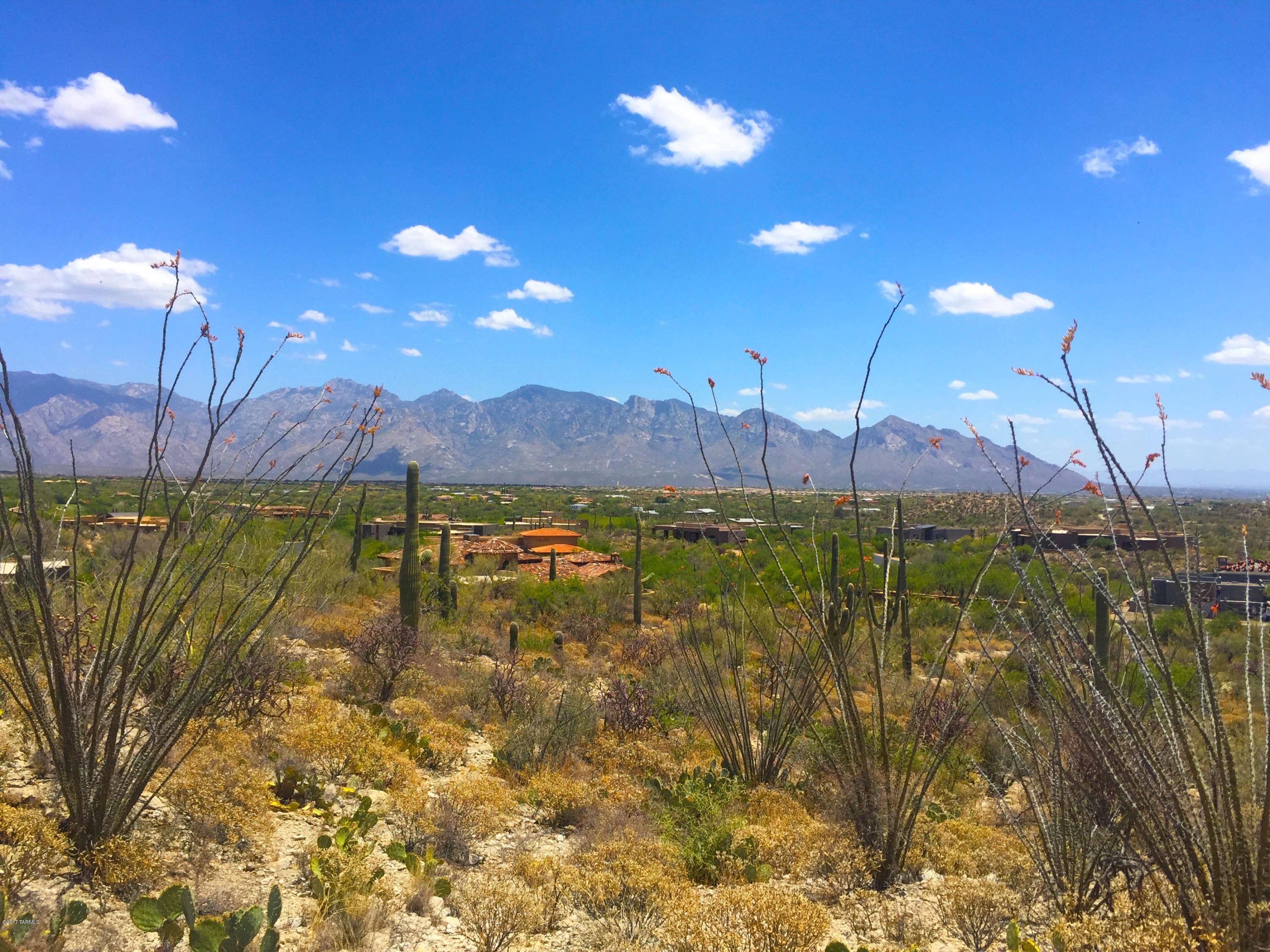 Stone Canyon III - Land