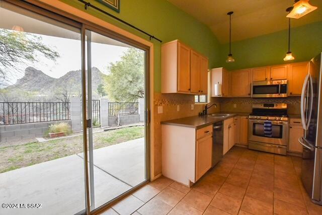 Mountain View Manor - Residential