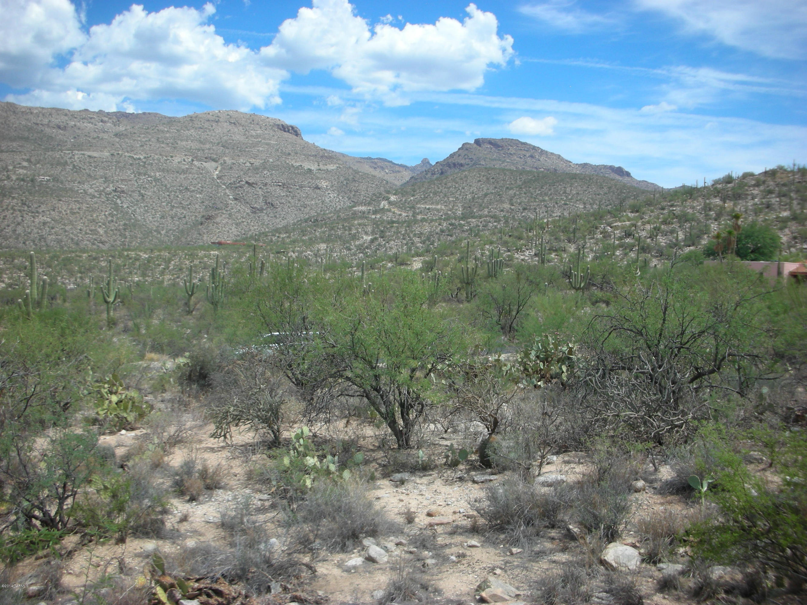 Rarely available 3.33 acre site in the most beautiful part of NE Tucson; steps away from the Agua Caliente Wash, Milagrosa and Molina Canyons. Gently sloped and lushly vegetated choose a low easy pad or higher, view stie. Access from a paved, private drive at the east end of Snyder Rd. All utilities, quiet and spectacular. Adjacent 4 acre parcel also available.