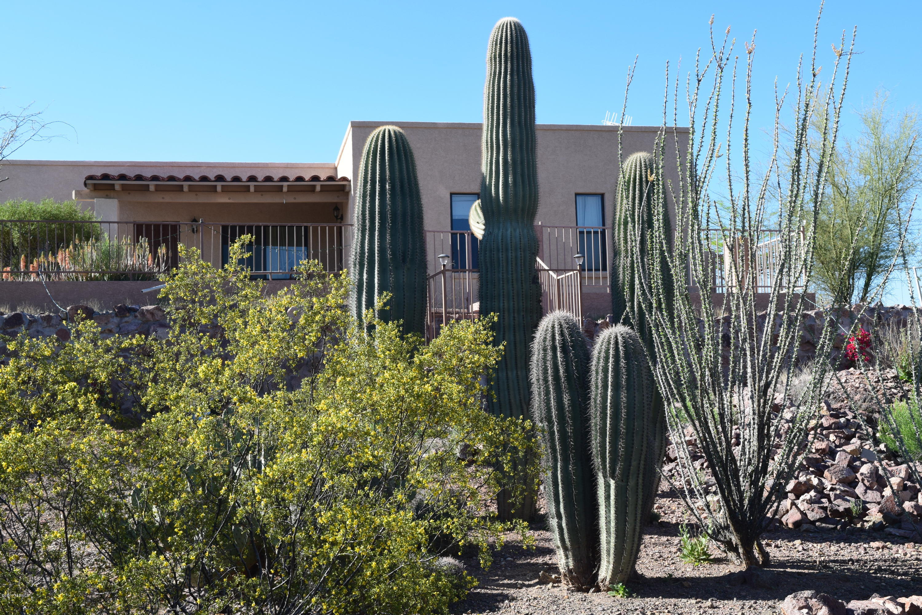 Pride of ownership shows in this custom home nestled high on the hilltop. Home sits with unobstructed views of Beehive Peak and the Tucson Mountain range. Gorgeous and expansive views of the Sonoran Desert dotted with vibrant tall Saguaros all from the front covered patio welcoming you home.