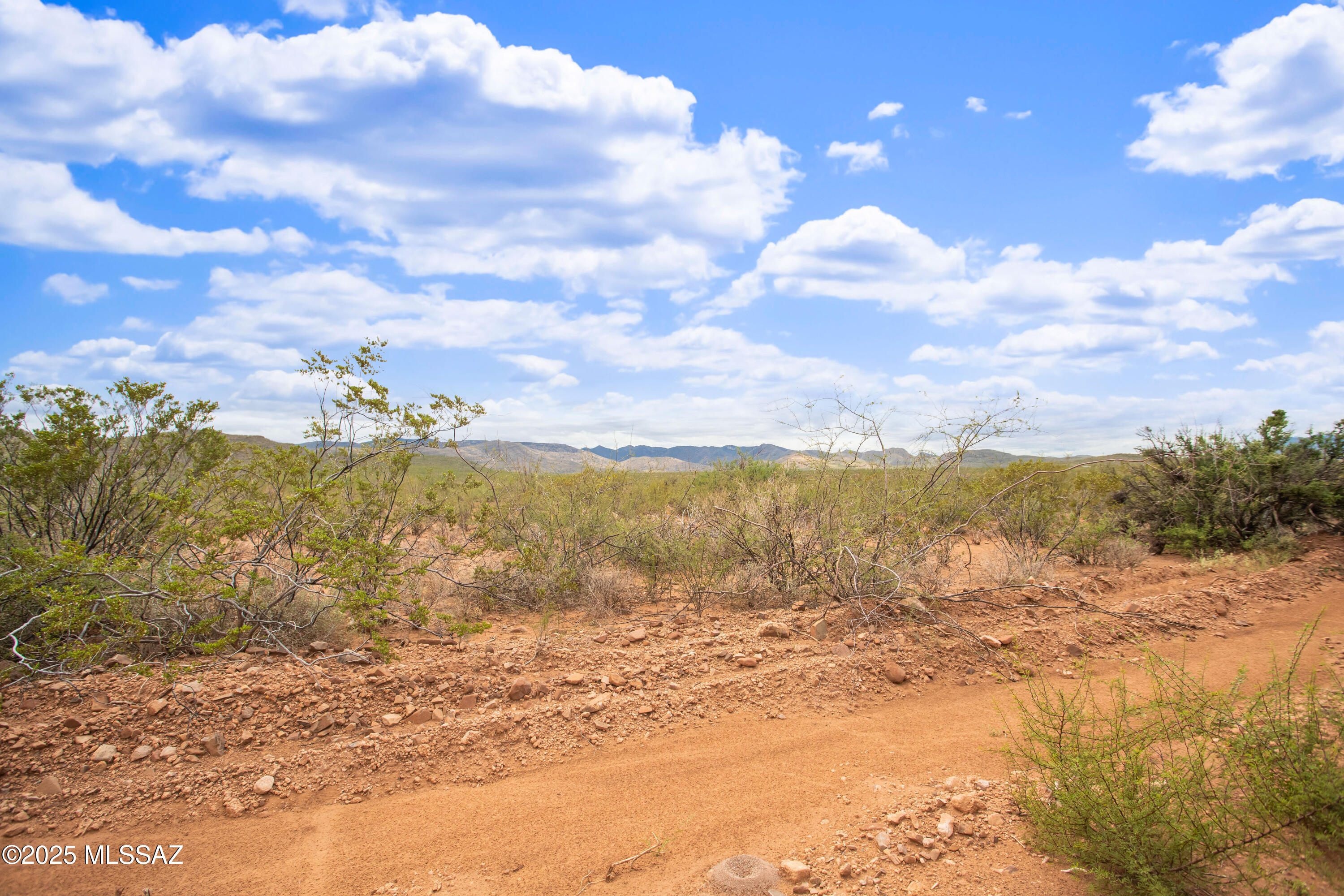 Out Of Pima County - Land