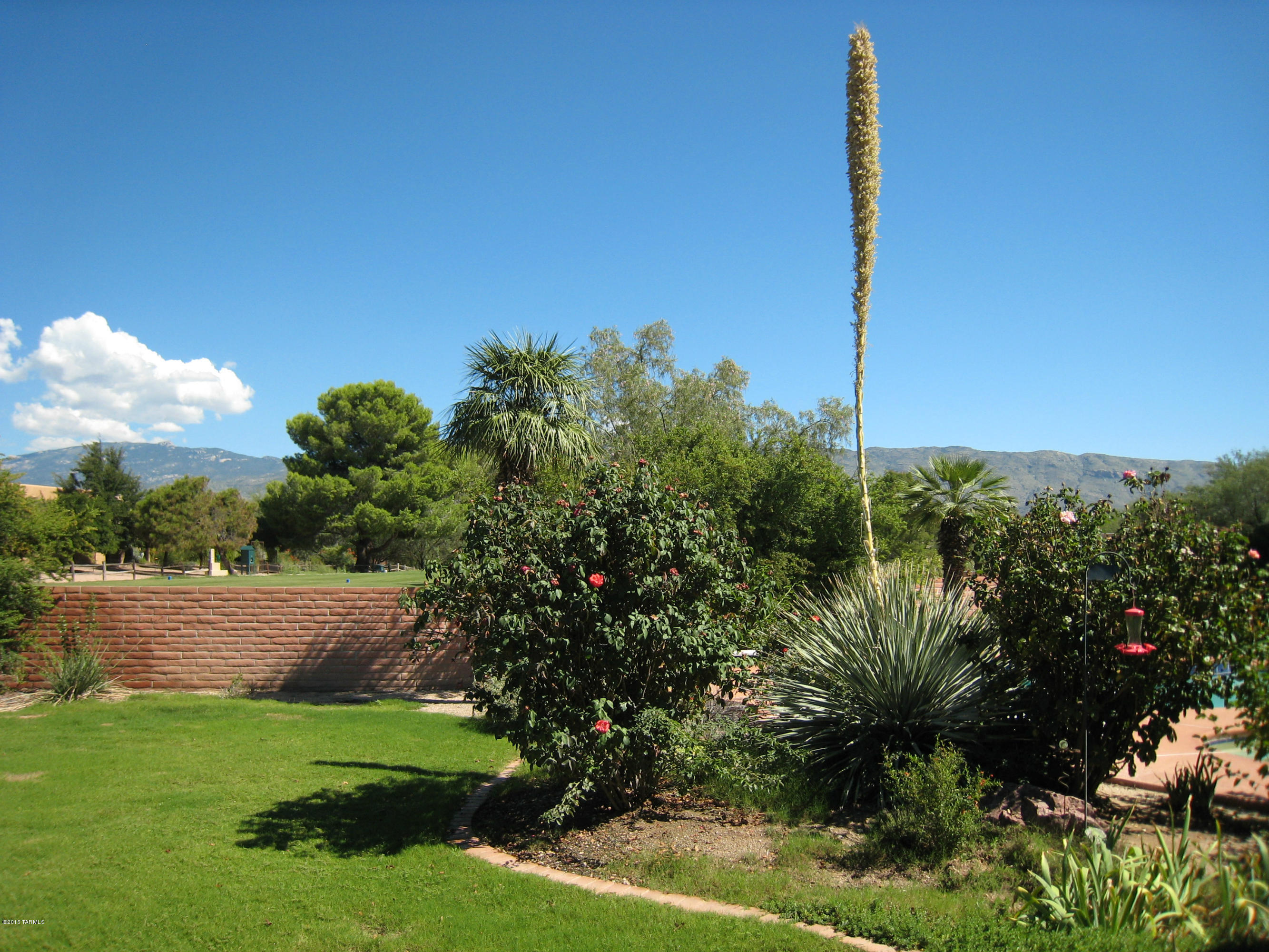 Forty Niners Country Club Estates - Residential