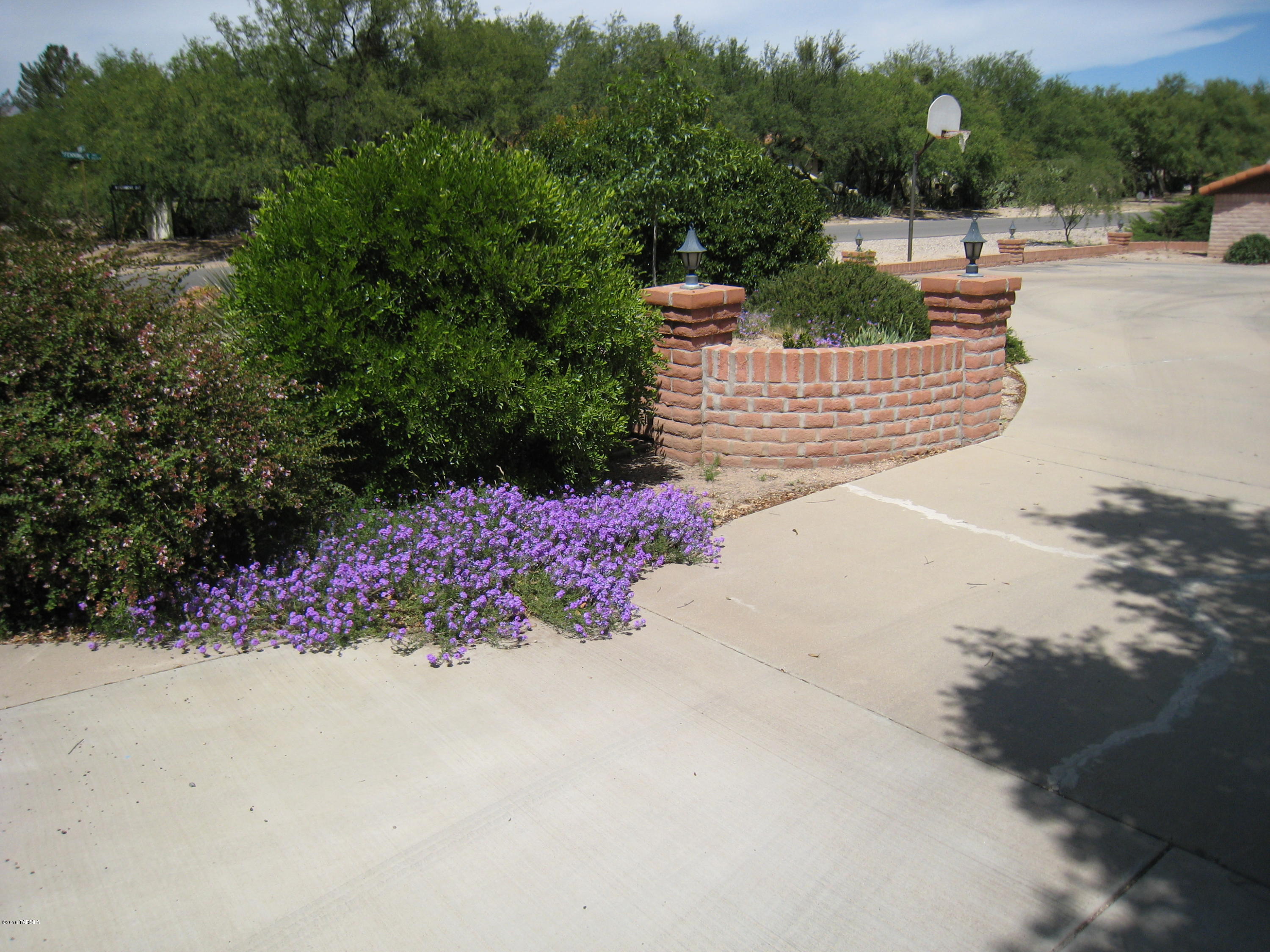 Forty Niners Country Club Estates - Residential