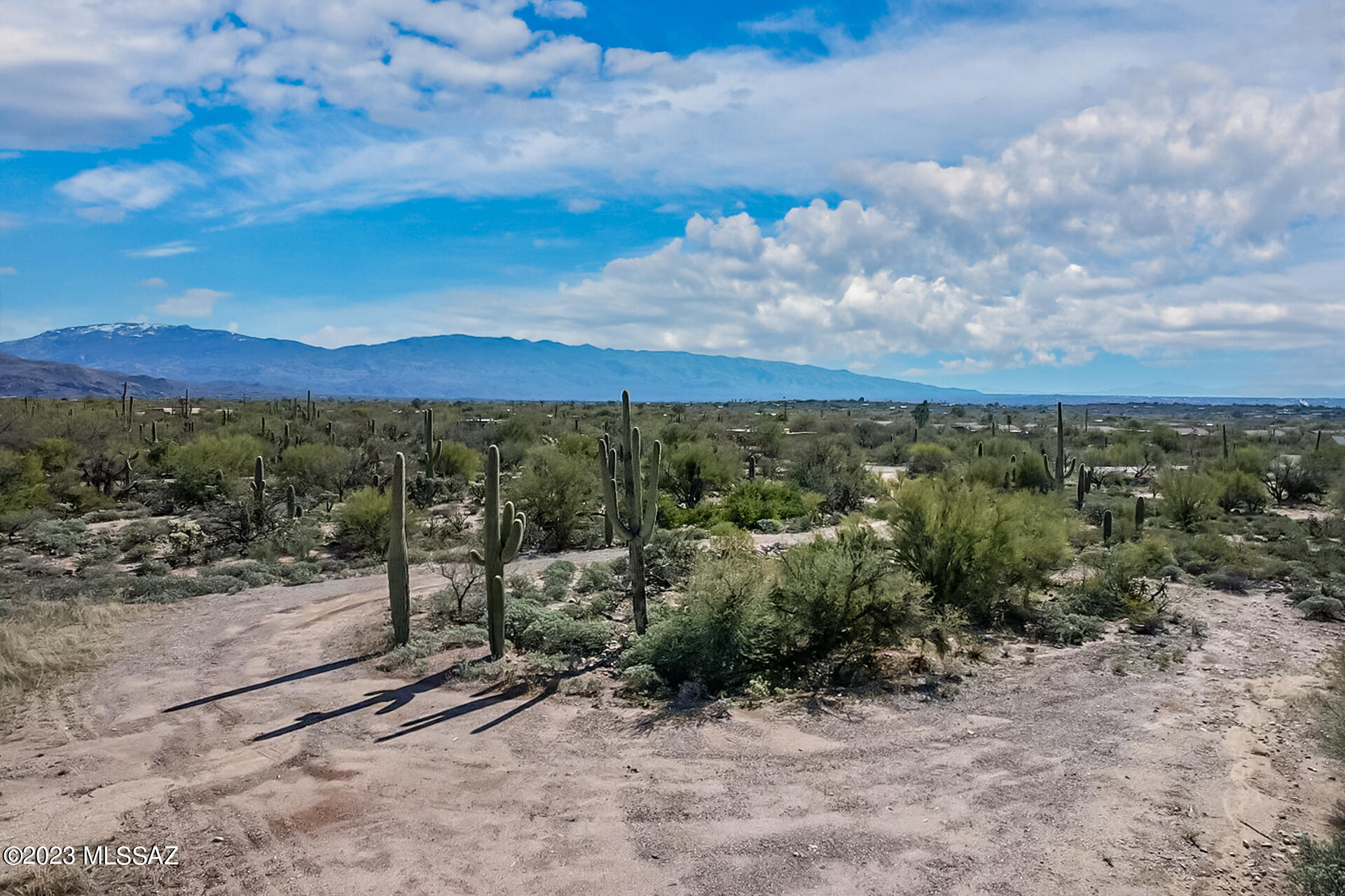 Ranchitos De Los Saguaros (1-21) - Land