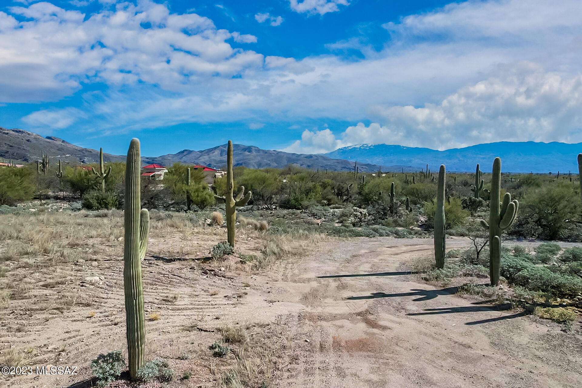 Ranchitos De Los Saguaros (1-21) - Land
