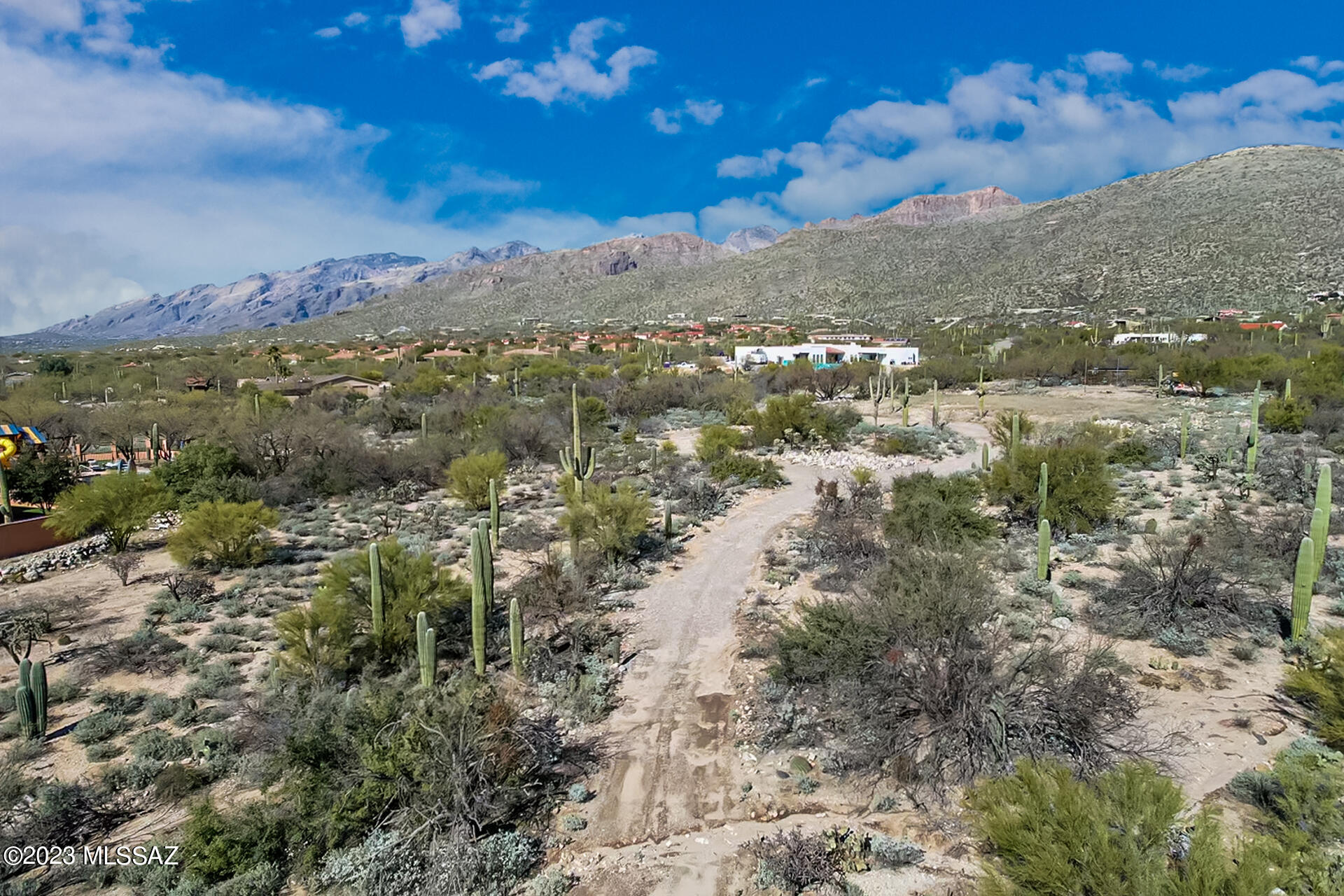 Ranchitos De Los Saguaros (1-21) - Land