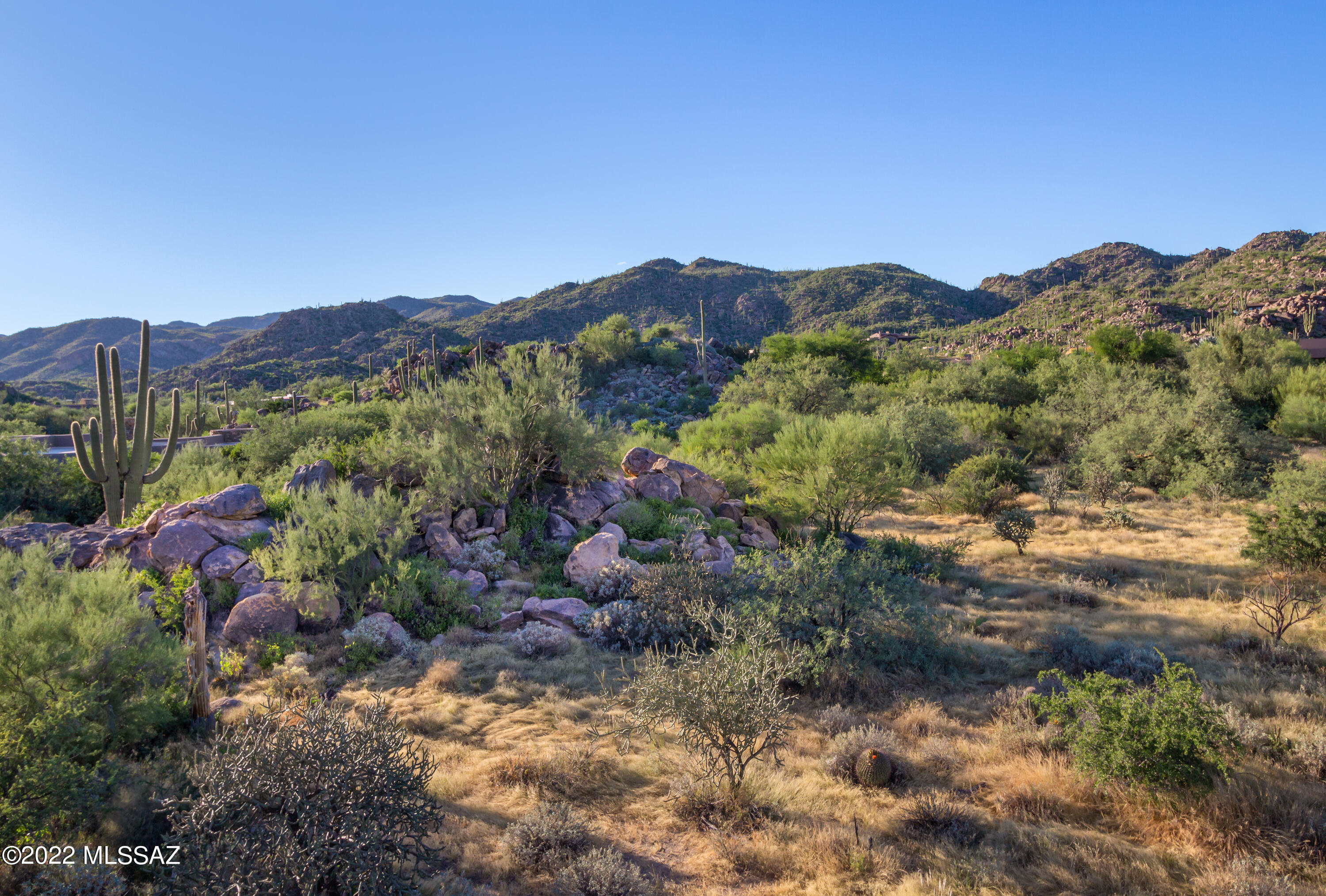 Stone Canyon II - Land