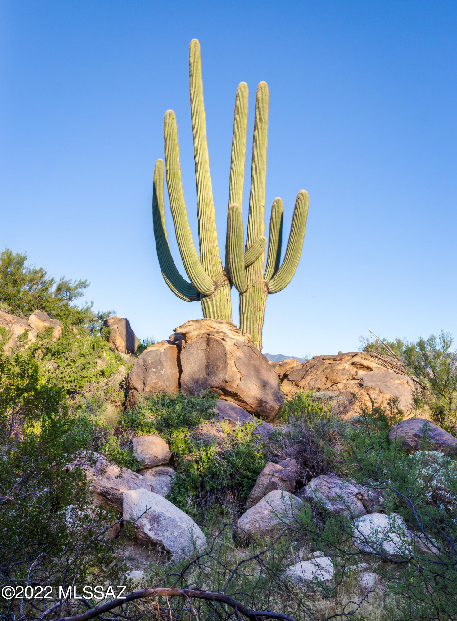 Stone Canyon II - Land