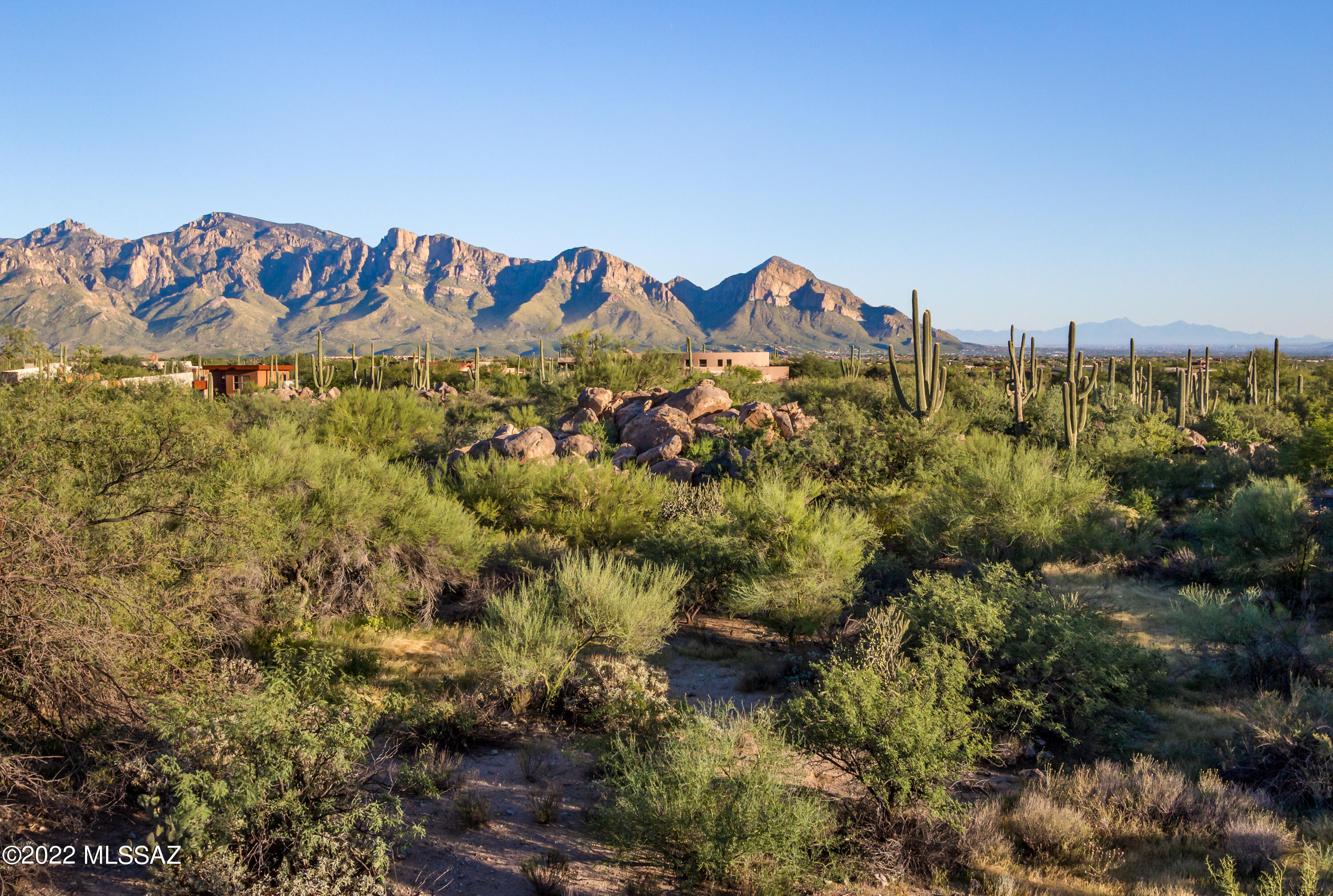 Stone Canyon II - Land