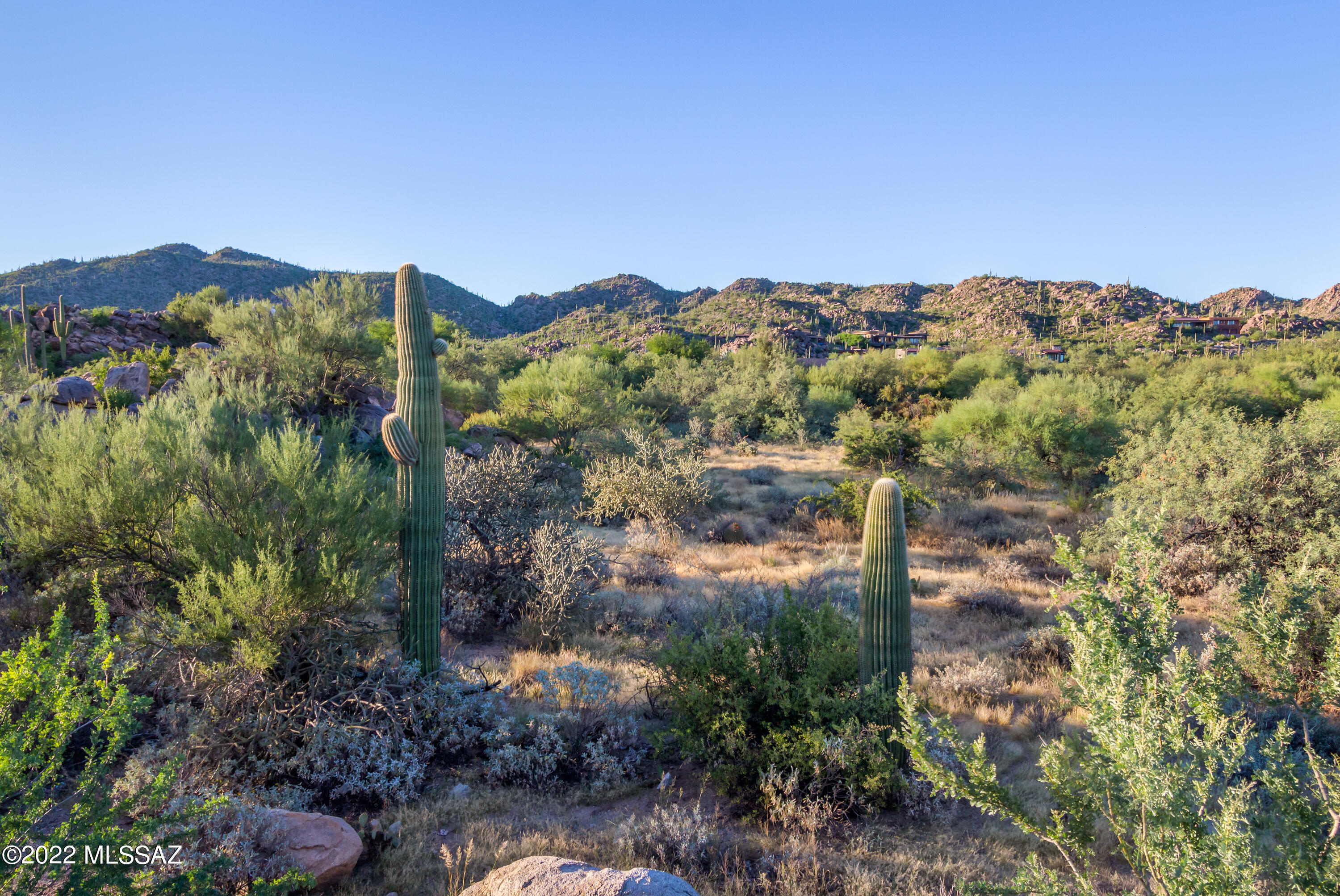 Stone Canyon II - Land