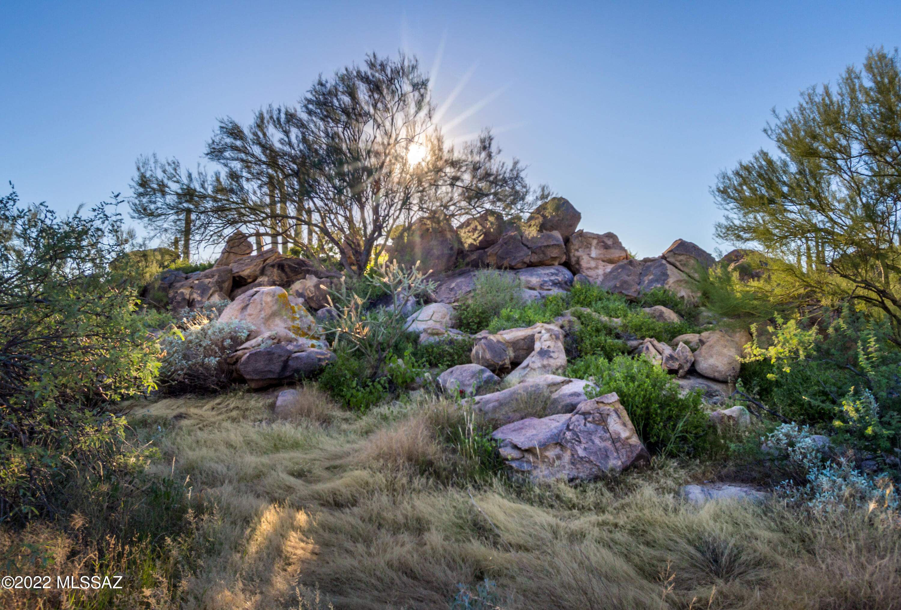 Stone Canyon II - Land