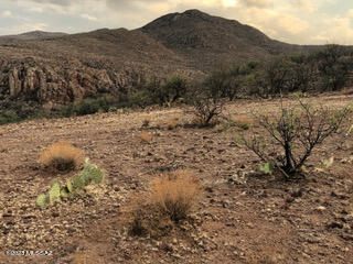 Experience the beauty of Tubac on this 8-acre vacant land located in the prestigious Tubac Foothills Ranch. This property boasts panoramic views, allowing you to enjoy the breathtaking landscape. This blank canvas of land is perfect for building your dream home. The property requires installation of septic system and a well. Don't miss your chance to own a piece of Arizona's natural beauty.

Tubac Foothills Ranch is on the east side of Tubac and the Santa Cruz River. It is snuggled into the foothills of the Santa Rita and San Cayetano Mountains. Face any point on the compass in this very special enclave and you'll see the great vistas: cinematic views of mountains, sunsets, beautiful hills and valleys, and rock formations.