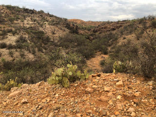 Tubac Foothills Ranch - Land