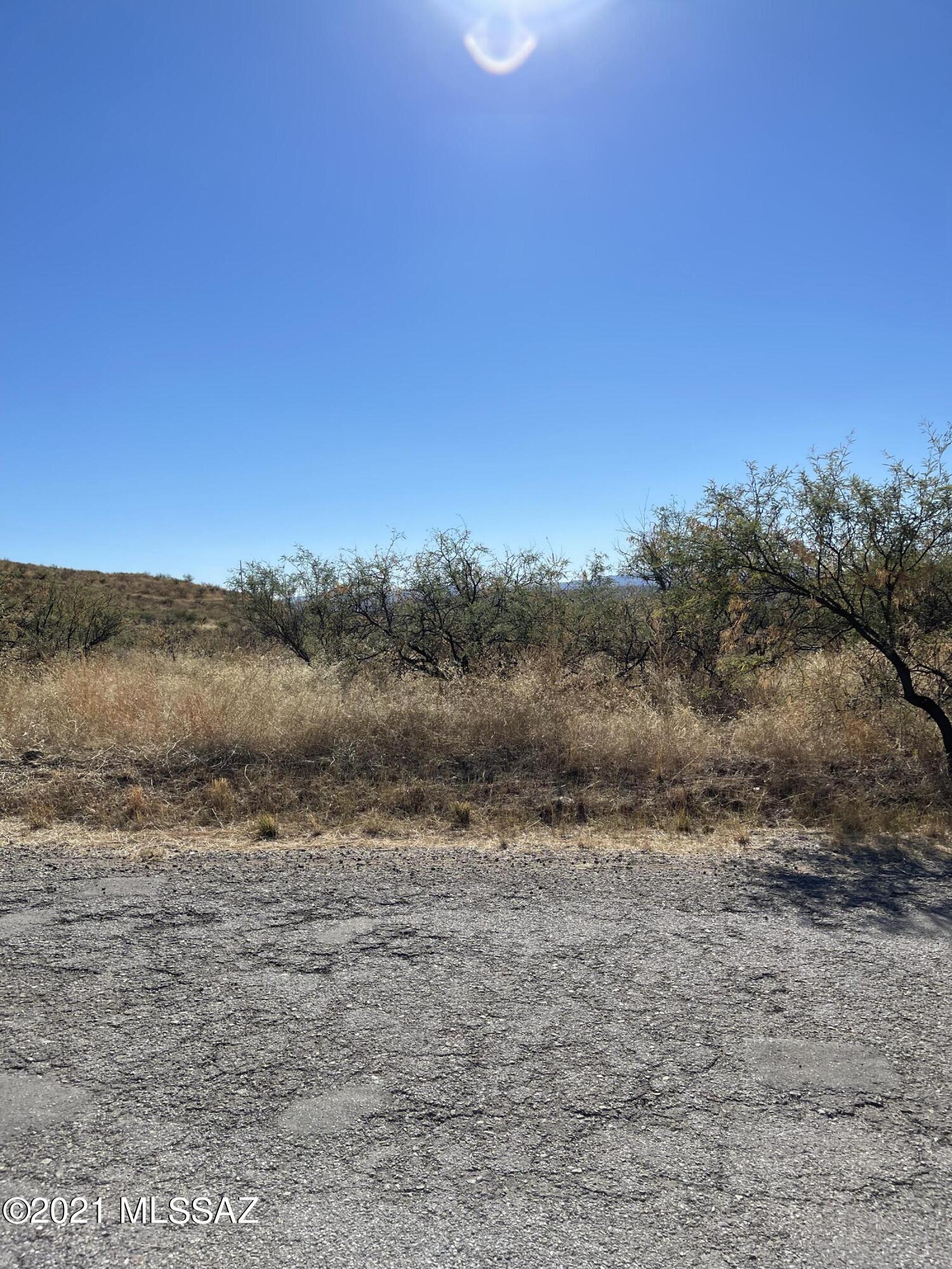 Rio Rico Ranchettes - Land