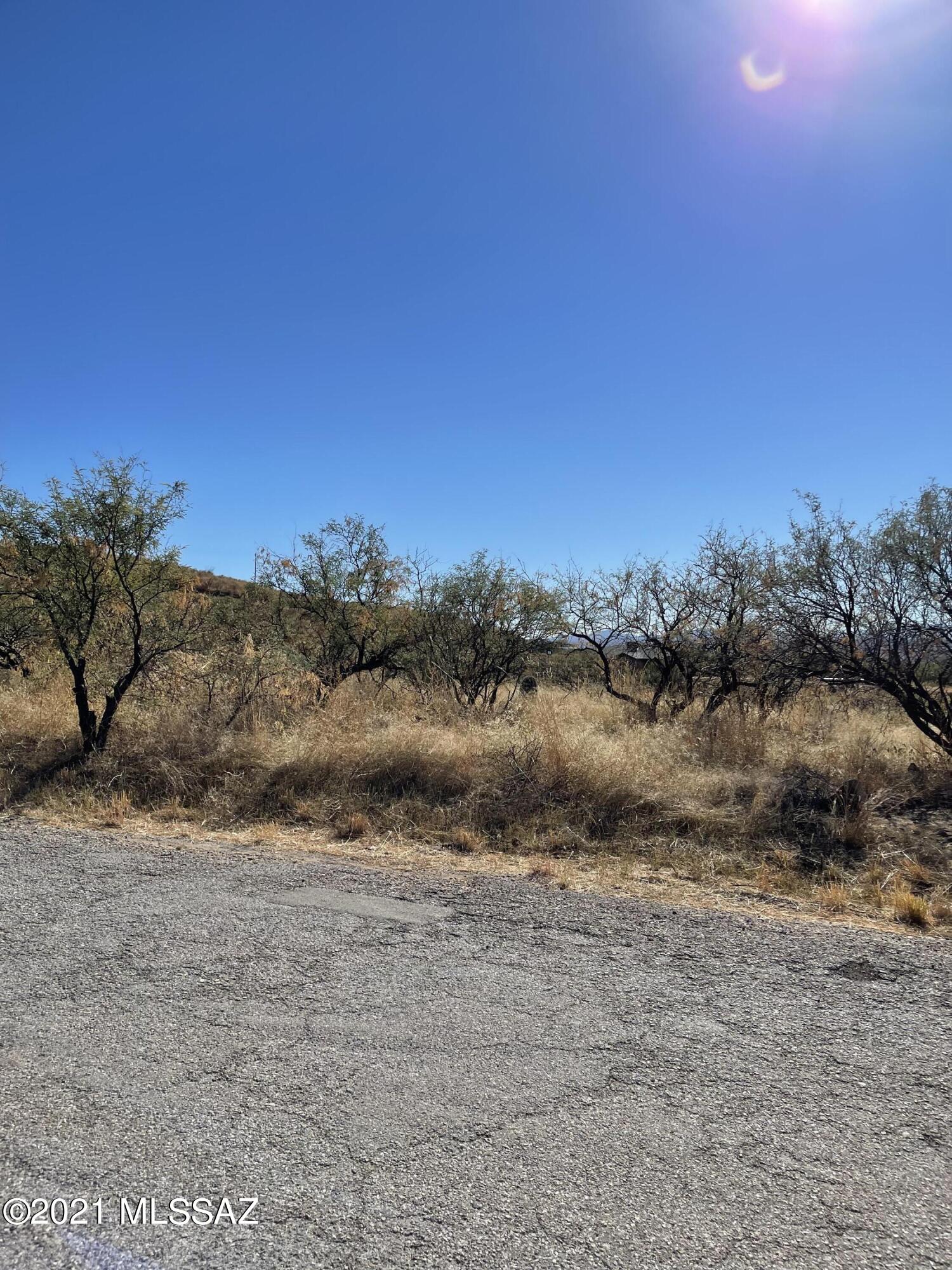 Rio Rico Ranchettes - Land