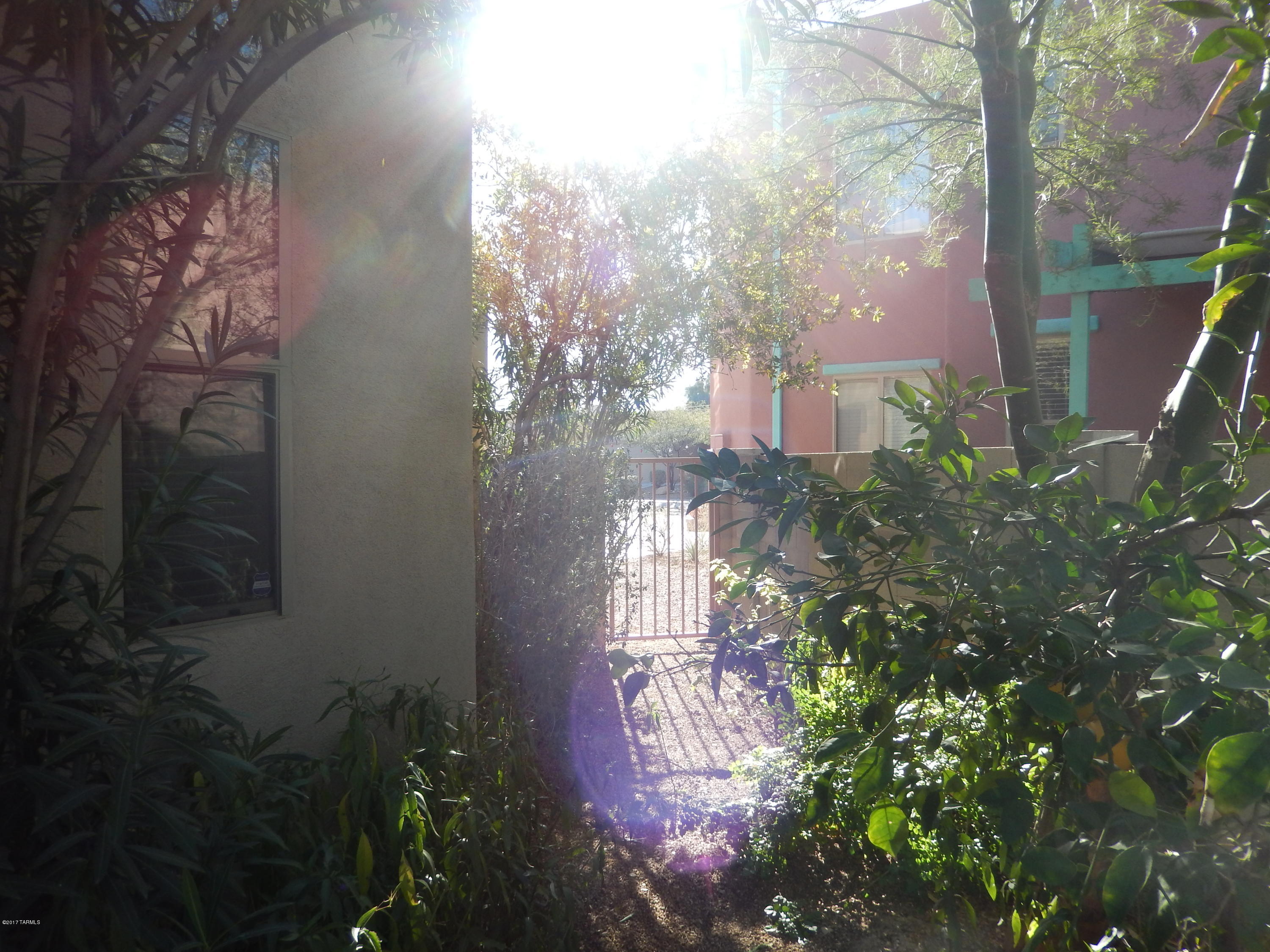 Paseo Estrella (1-104) - Residential