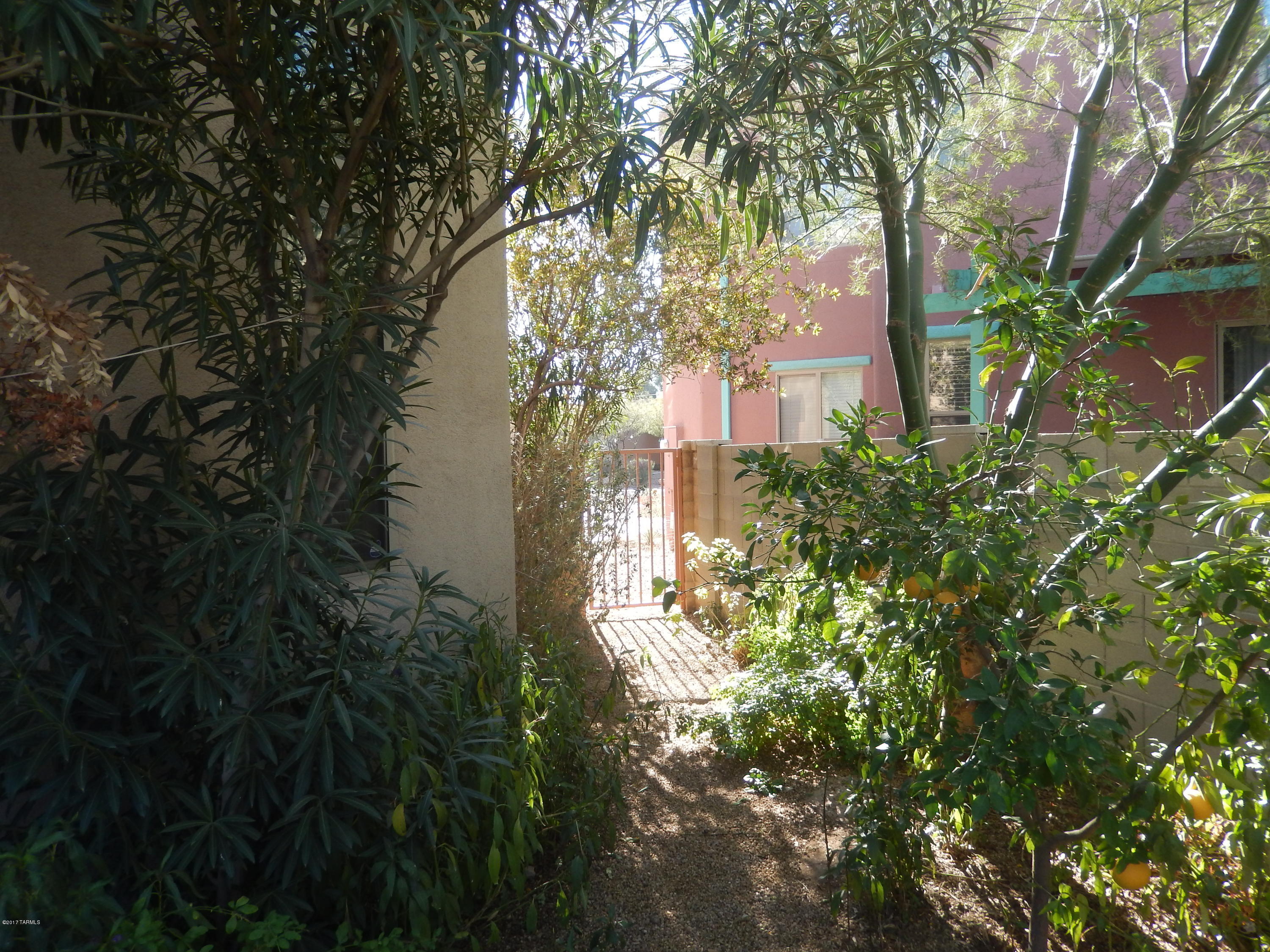 Paseo Estrella (1-104) - Residential
