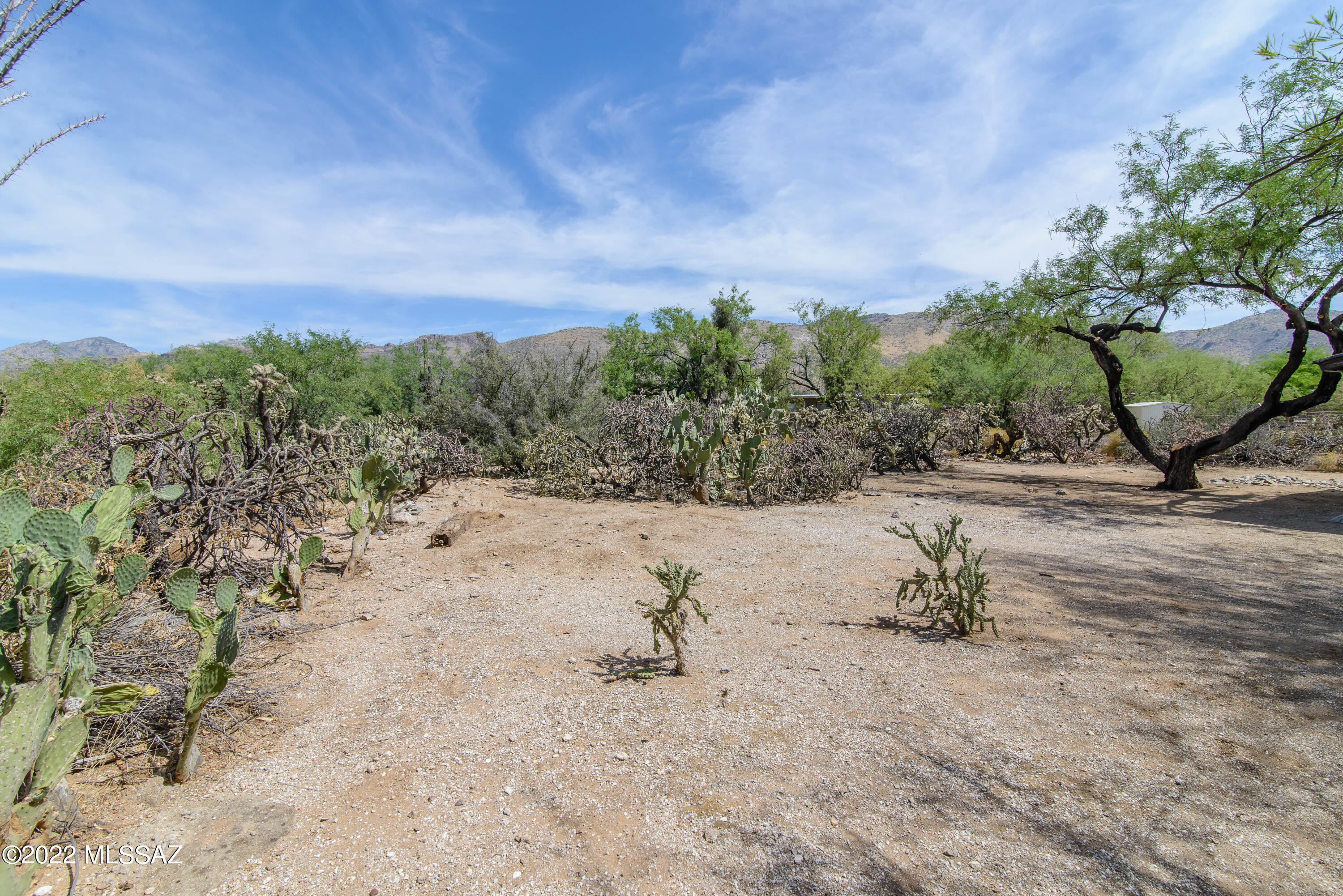 Catalina Valley  (54-114) - Residential
