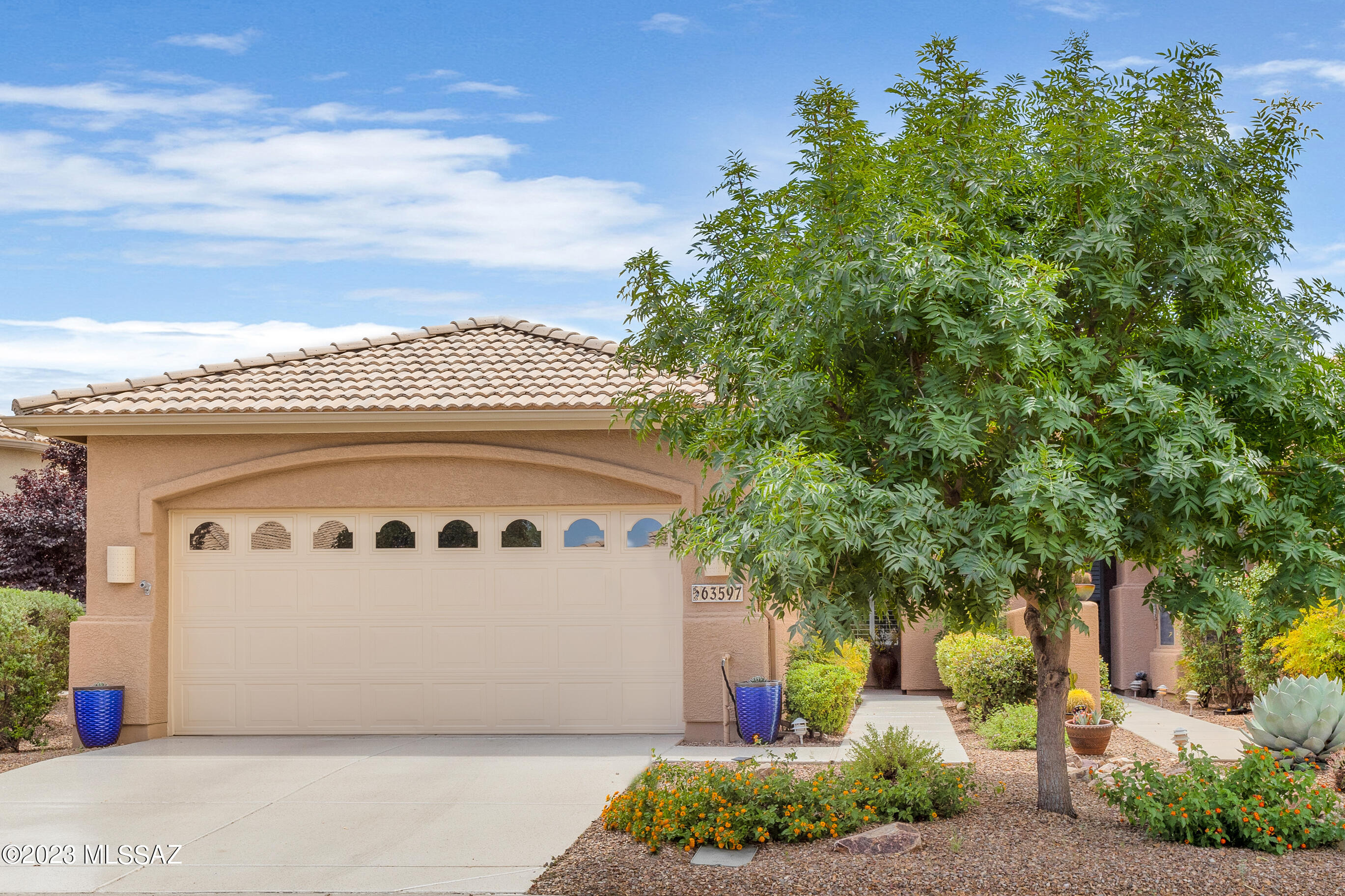 Saddlebrooke - Residential