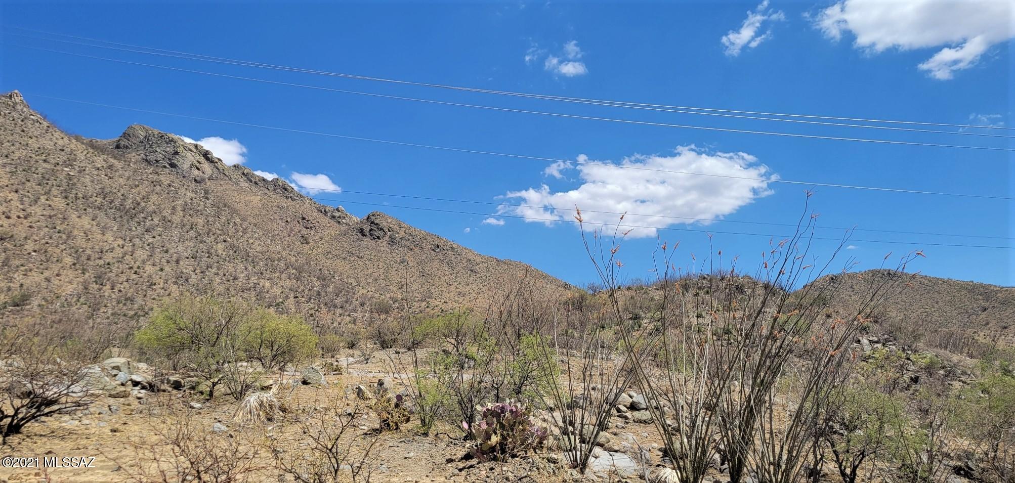 Rio Rico Ranchettes - Land